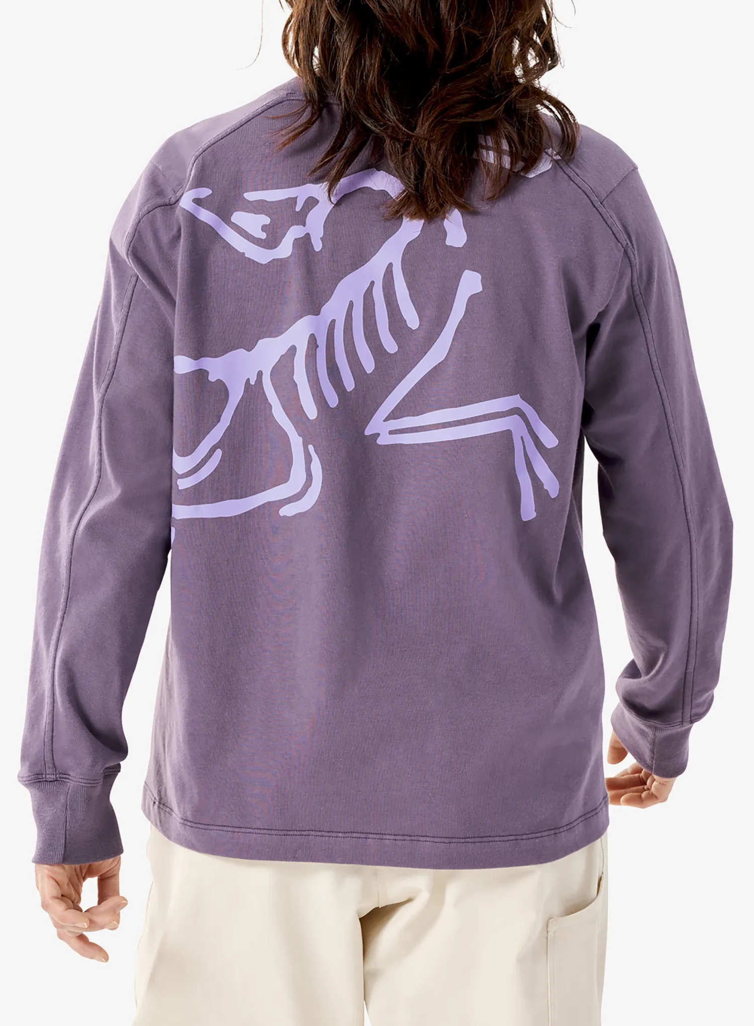 Ženska dukserica Arcteryx Kragg Cotton Bird Crew LS - lt moondrop