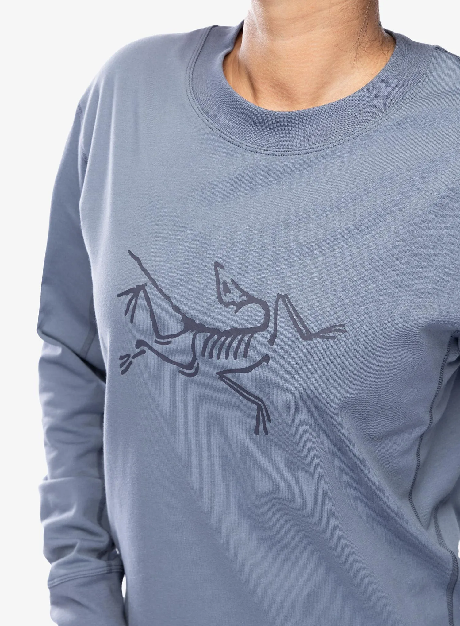 Ženski longsleeve Arcteryx Archaeopteryx Logo LS - stratus/dk stratus