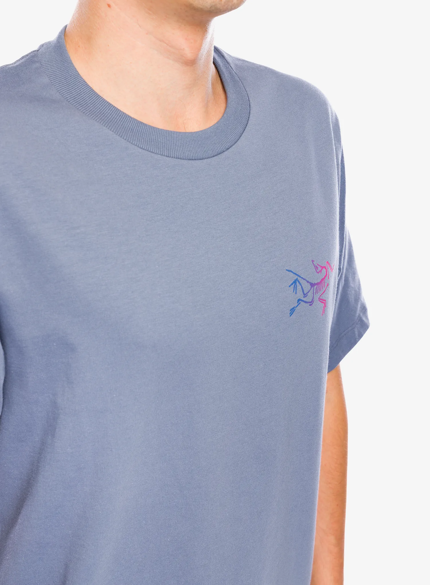 Pamučna majica Arcteryx Kragg Cotton Logo SS - stratus/multi