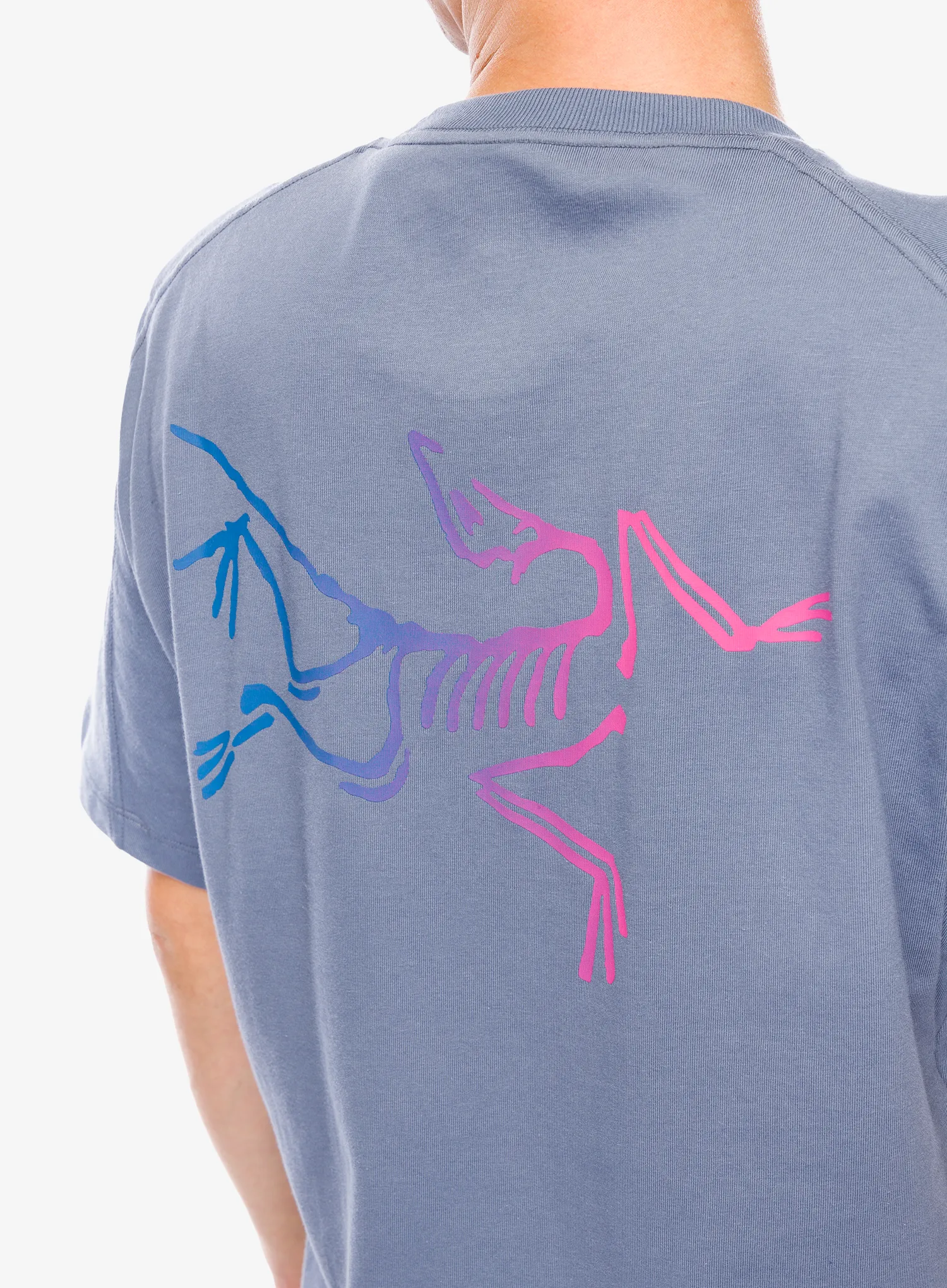 Pamučna majica Arcteryx Kragg Cotton Logo SS - stratus/multi