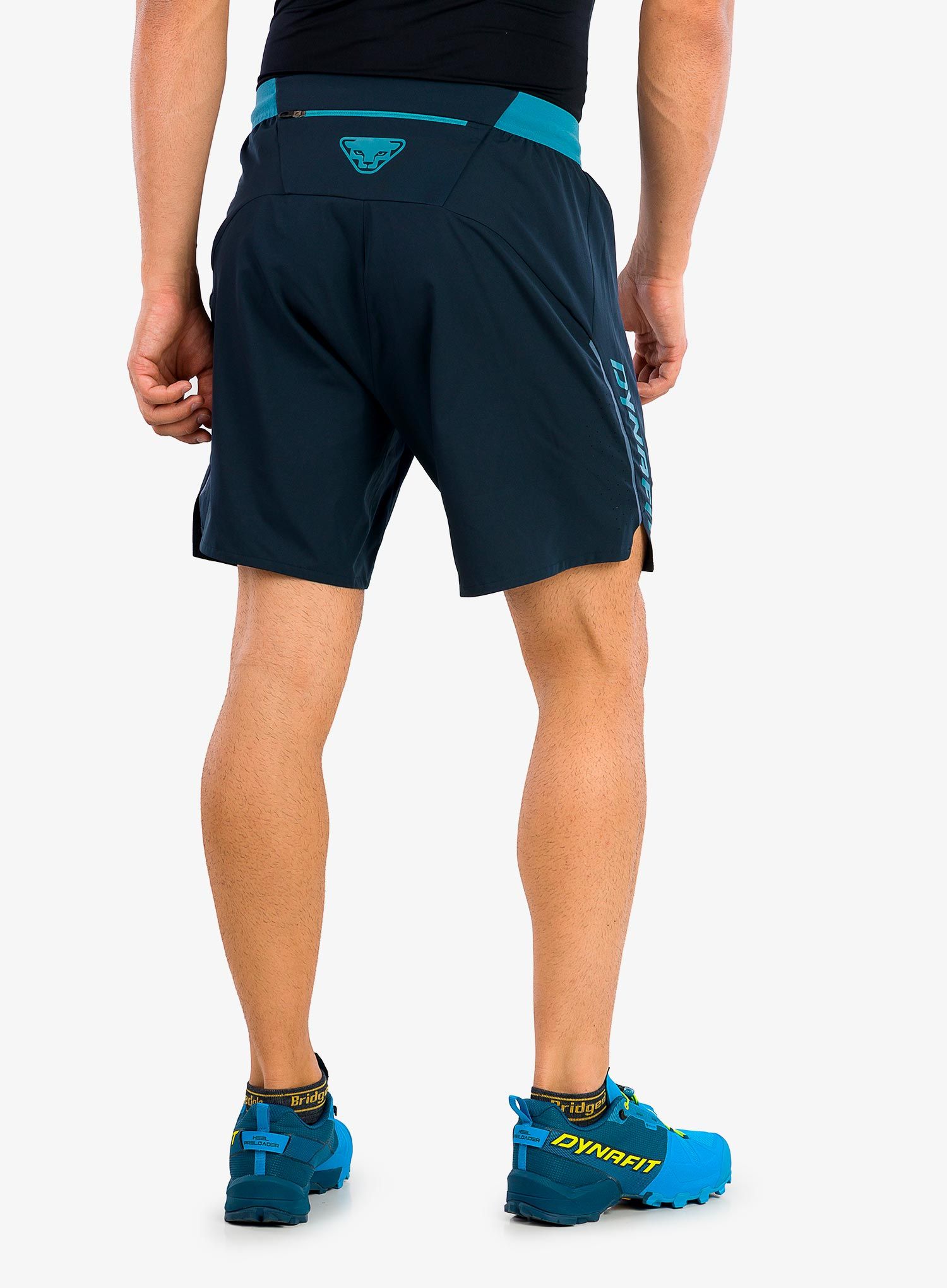 Kratke hlače za trčanje Dynafit Alpine Shorts  - blueberry storm blue