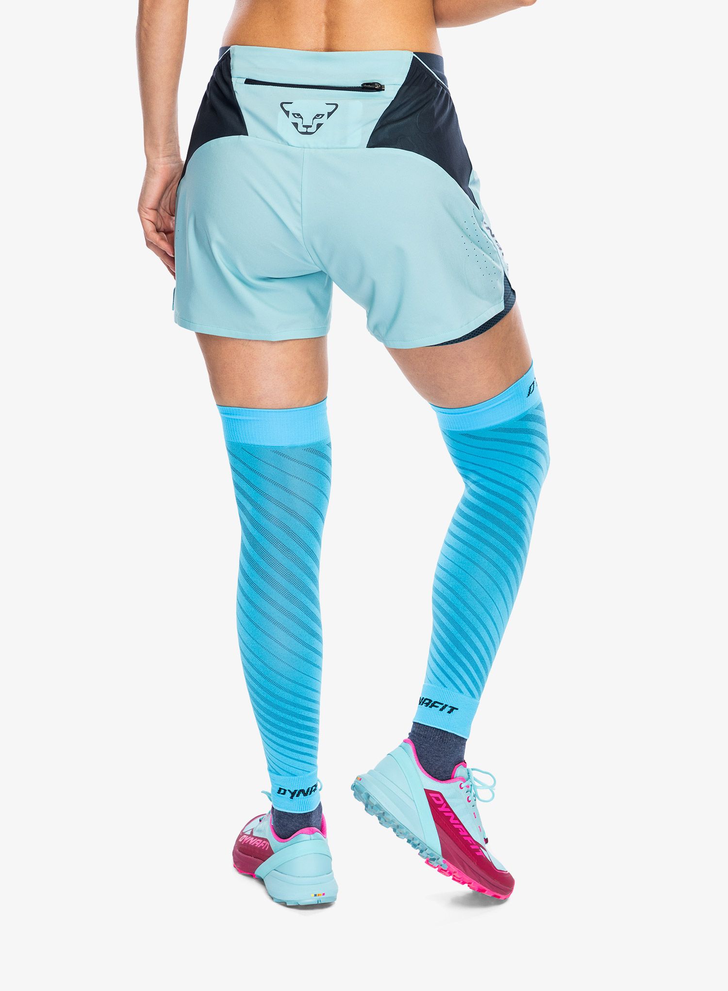 Nogavice za trčanje Dynafit Performance Knee Guard - frost