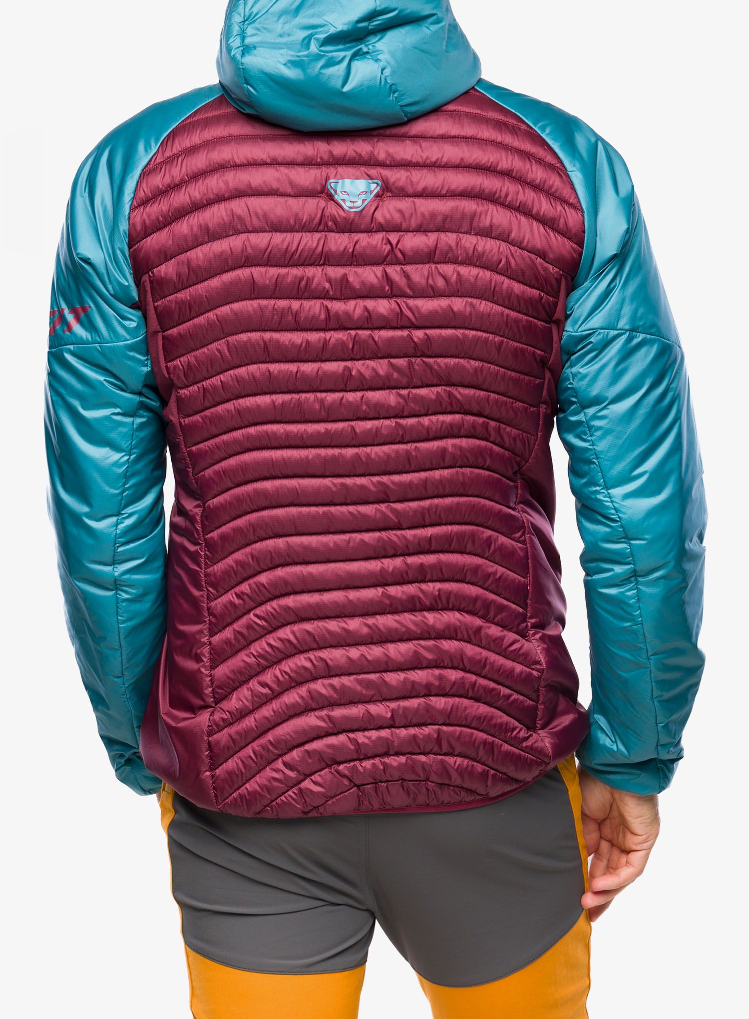 Jakna za turno skijanje Dynafit Speed Insulation Hooded Jacket - storm blue/blue