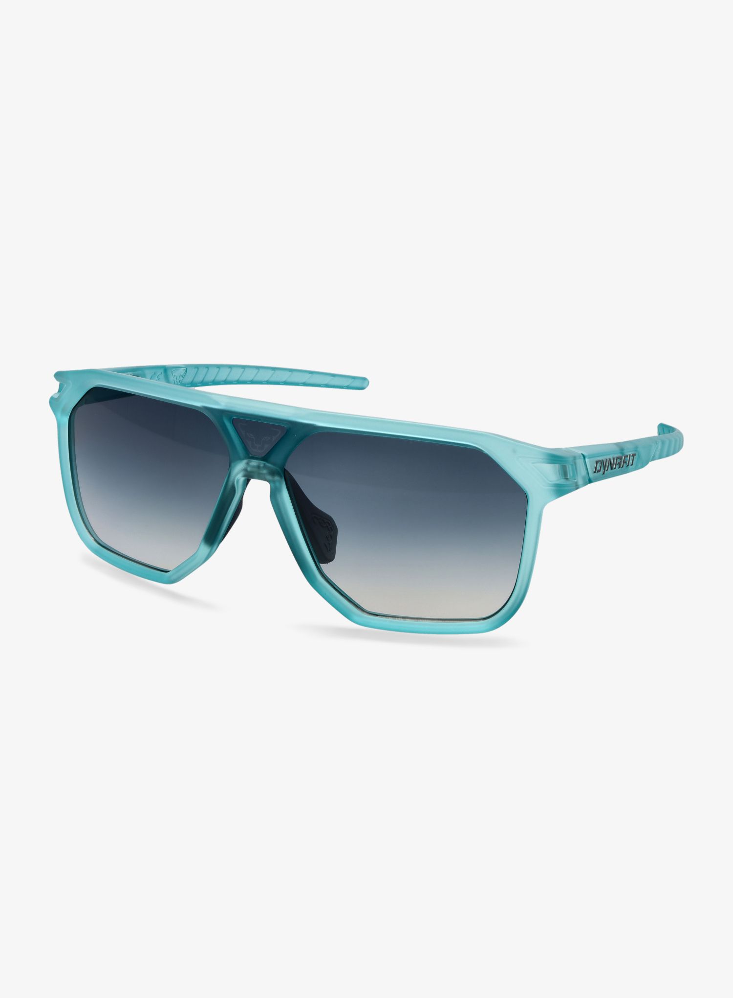 Sunčane naočale Dynafit Traverse Sunglasses - puritan grey/blueberry