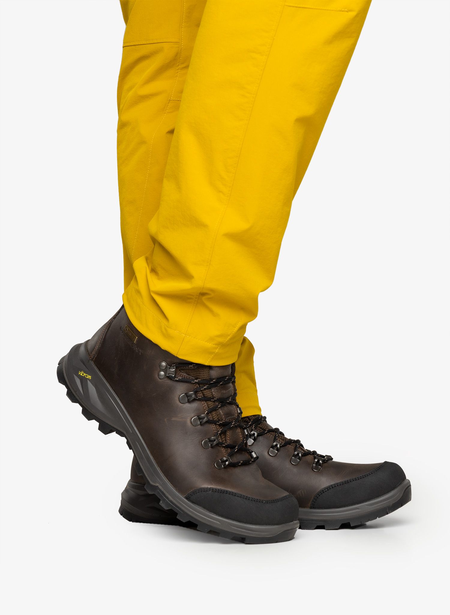 Trekking cipele Garmont Syncro Light Plus GTX - brown