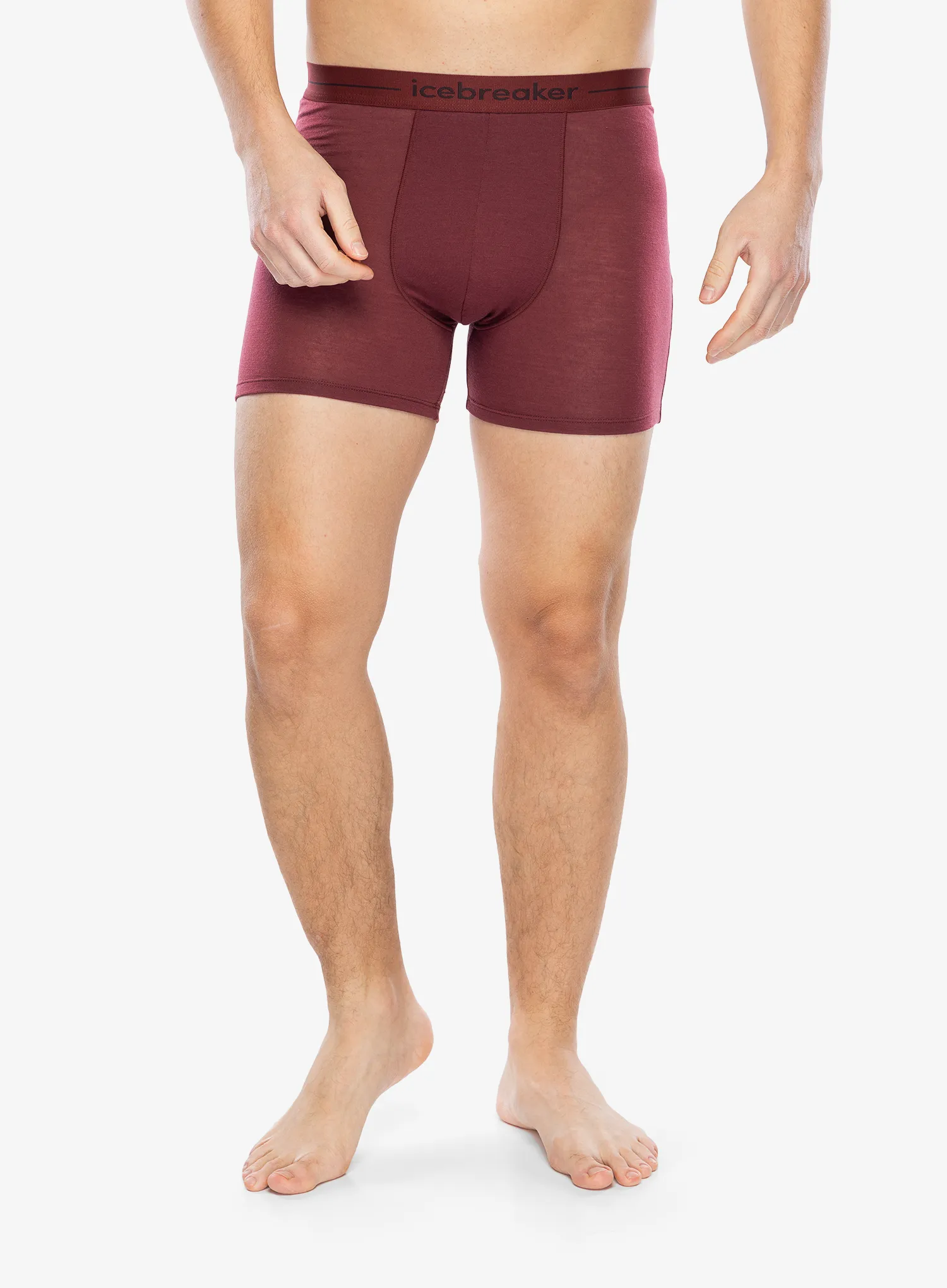Termoaktivne bokserice Icebreaker Anatomica Boxers - port