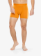 Termoaktivne bokserice Icebreaker Anatomica Boxers - ray