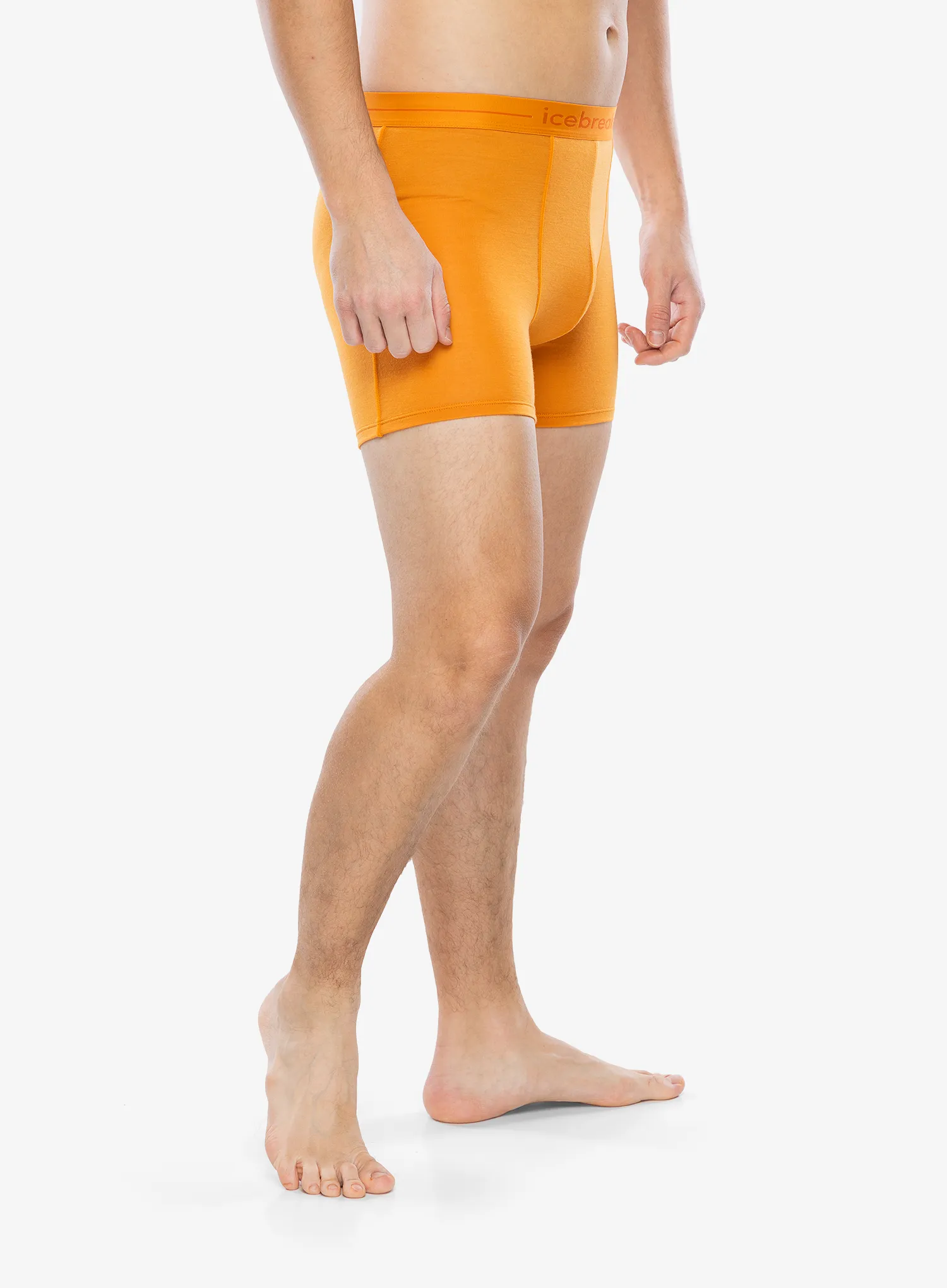 Termoaktivne bokserice Icebreaker Anatomica Boxers - ray