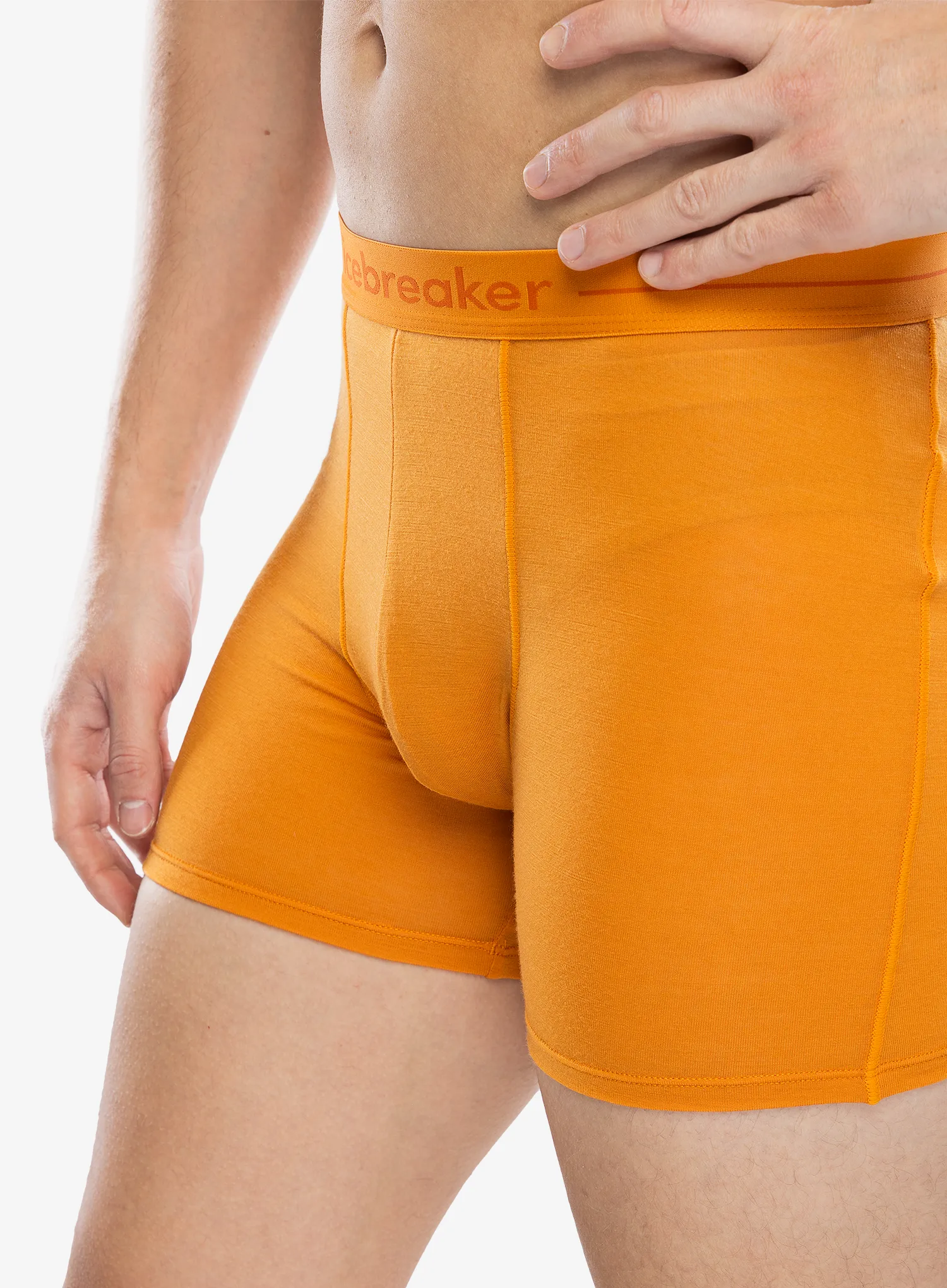 Termoaktivne bokserice Icebreaker Anatomica Boxers - ray