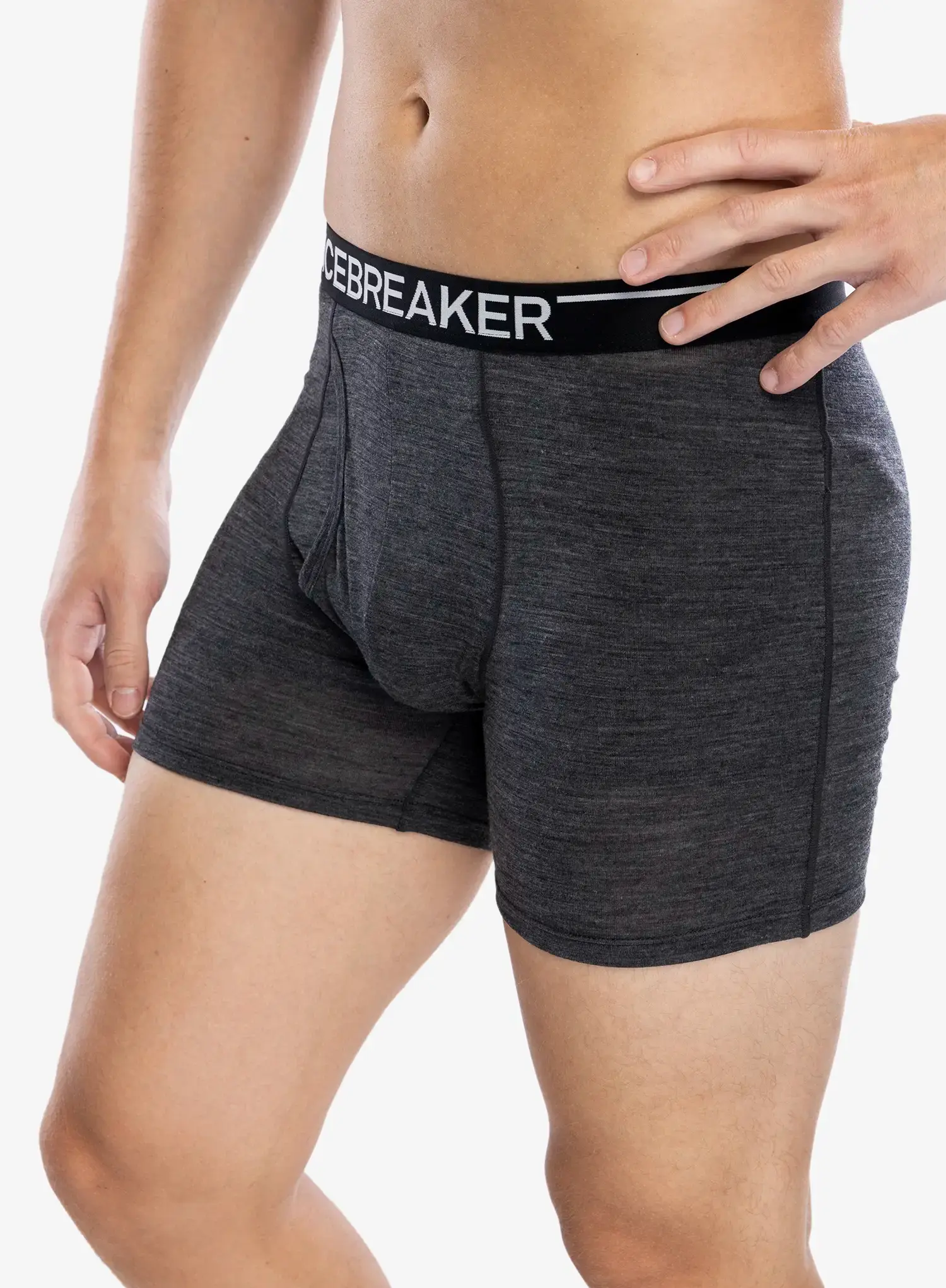 Termoaktivne bokserice Icebreaker Anatomica Boxers wFly - jet