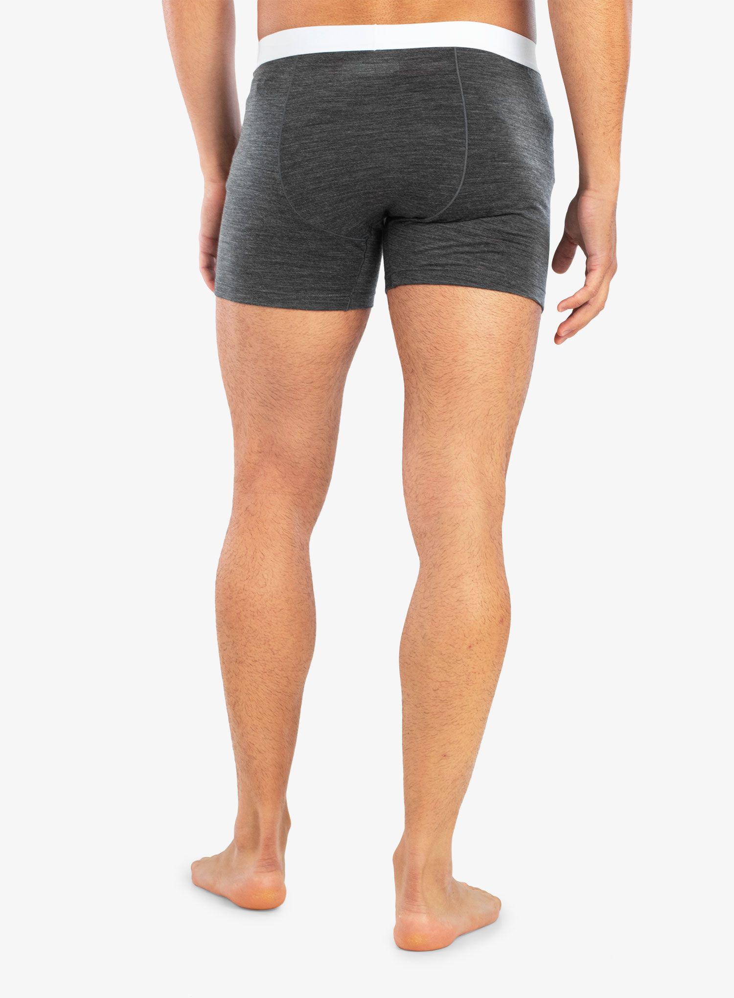 Termoaktivne bokserice Icebreaker Anatomica Cool-Lite Boxers - monsoon hthr