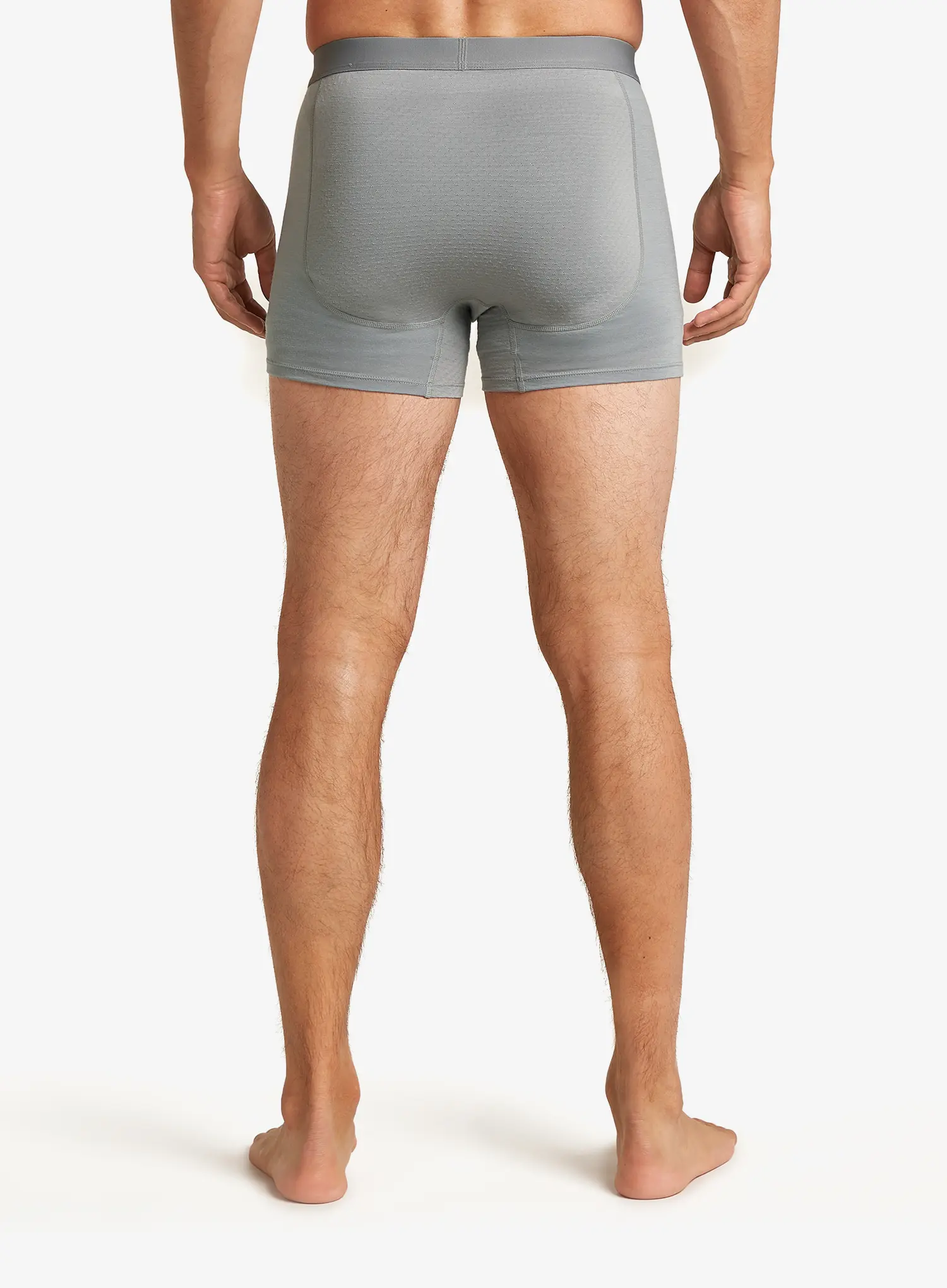 Termoaktivne bokserice Icebreaker Merino 125 ZoneKnit Boxers - alloy
