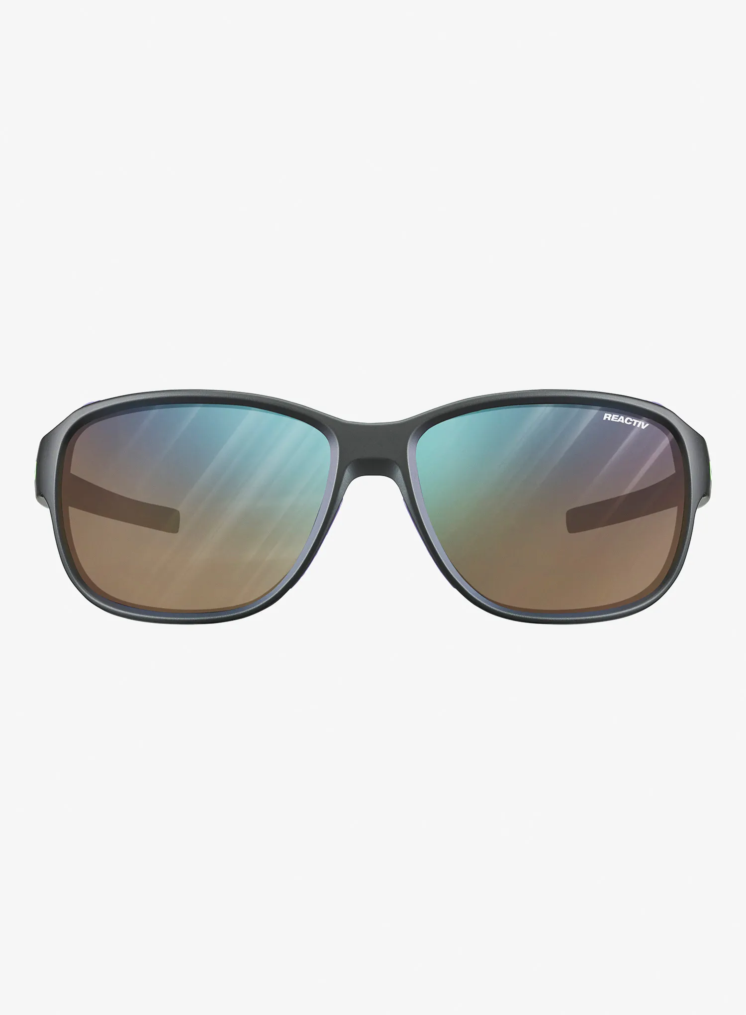 Naočale za planine Julbo Montebianco 2 - REACTIV 2-4 - black mat/purple