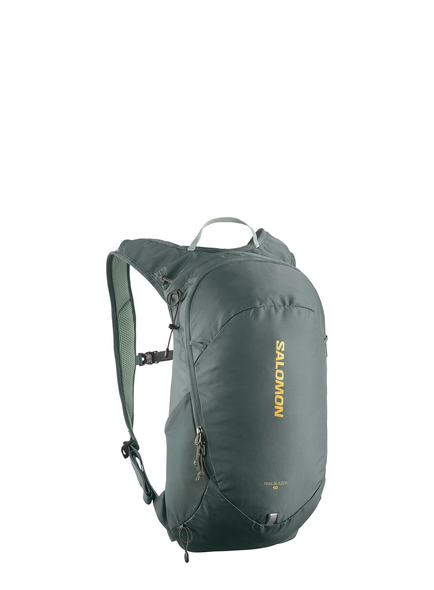 Planinarski ruksak Salomon Trailblazer 10 - urban chic/green milieu