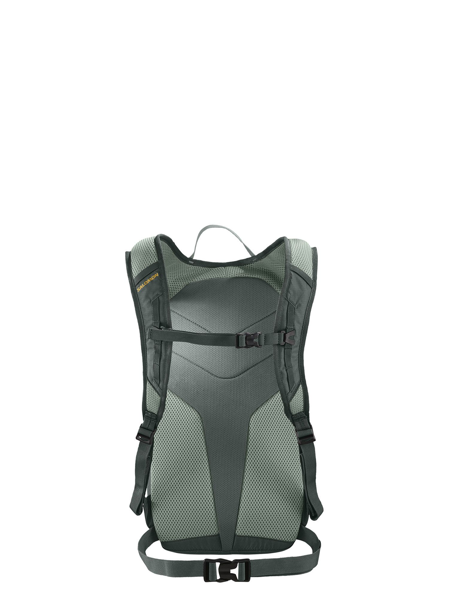 Planinarski ruksak Salomon Trailblazer 10 - urban chic/green milieu