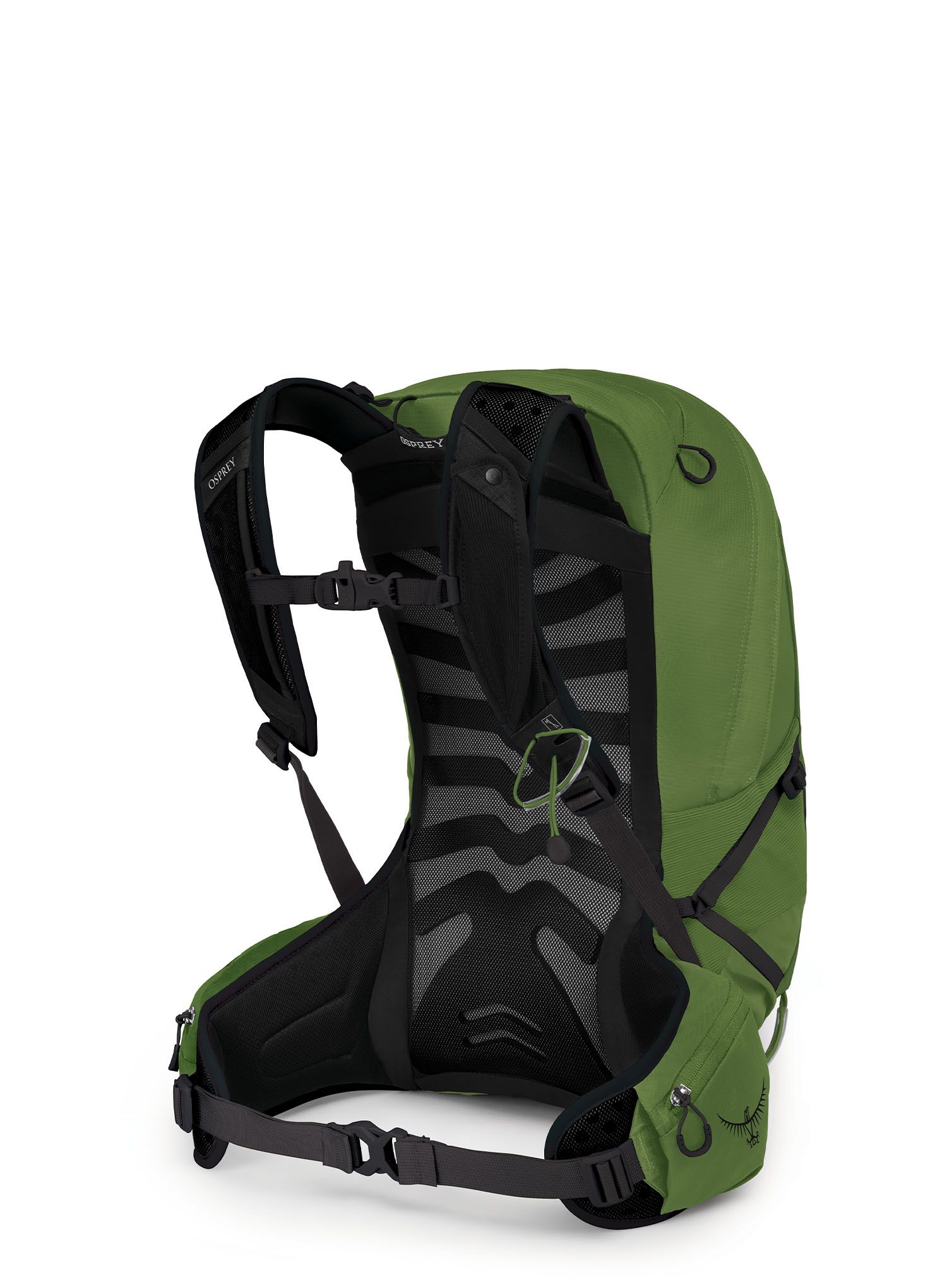 Planinarski ruksak Osprey Talon 22 - belt/black