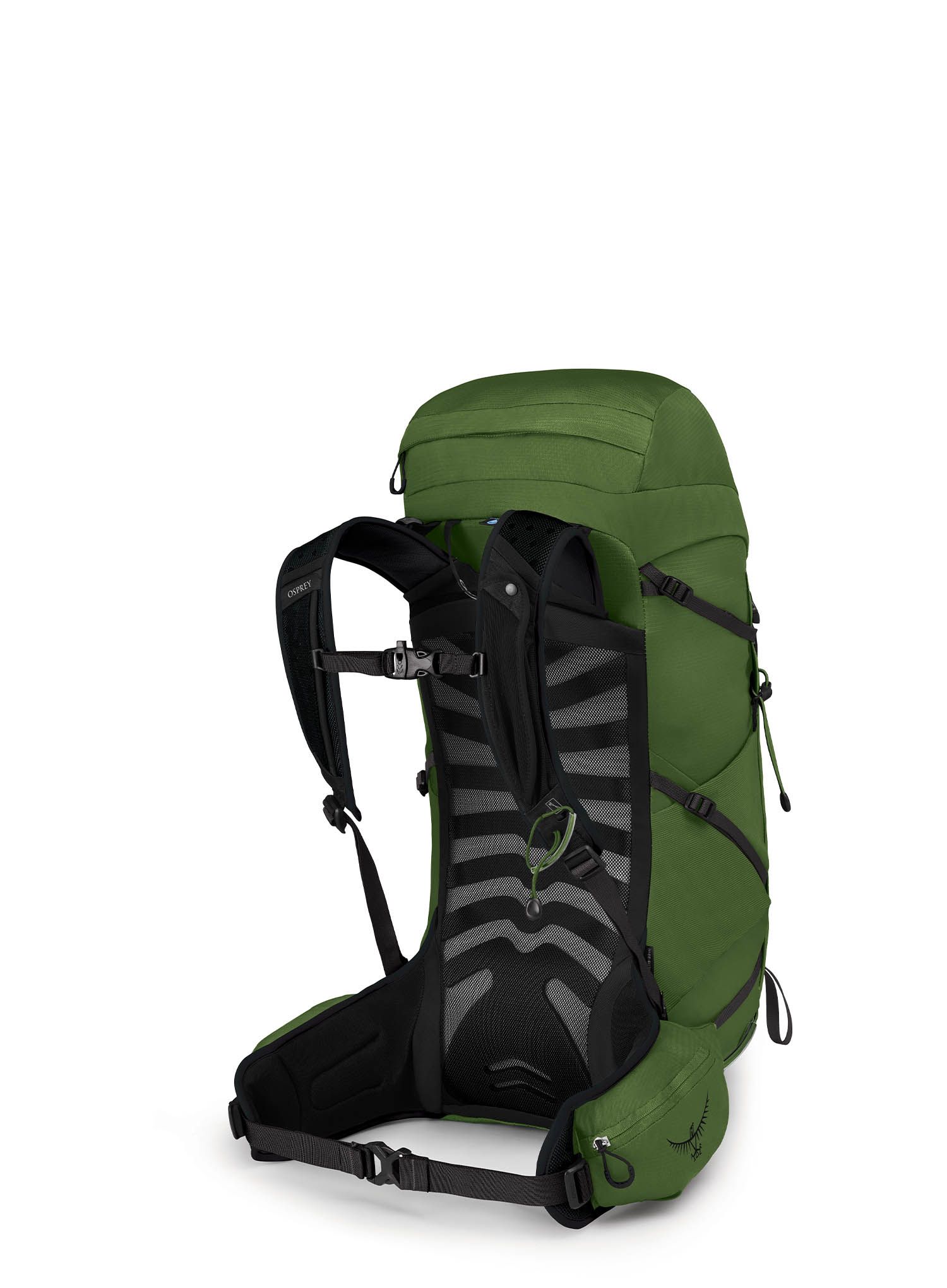 Planinarski ruksak Osprey Talon 33 - belt/black