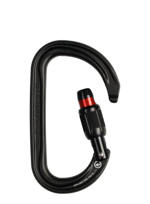 Karabiner s maticom Petzl Am'D Screw-Lock - black