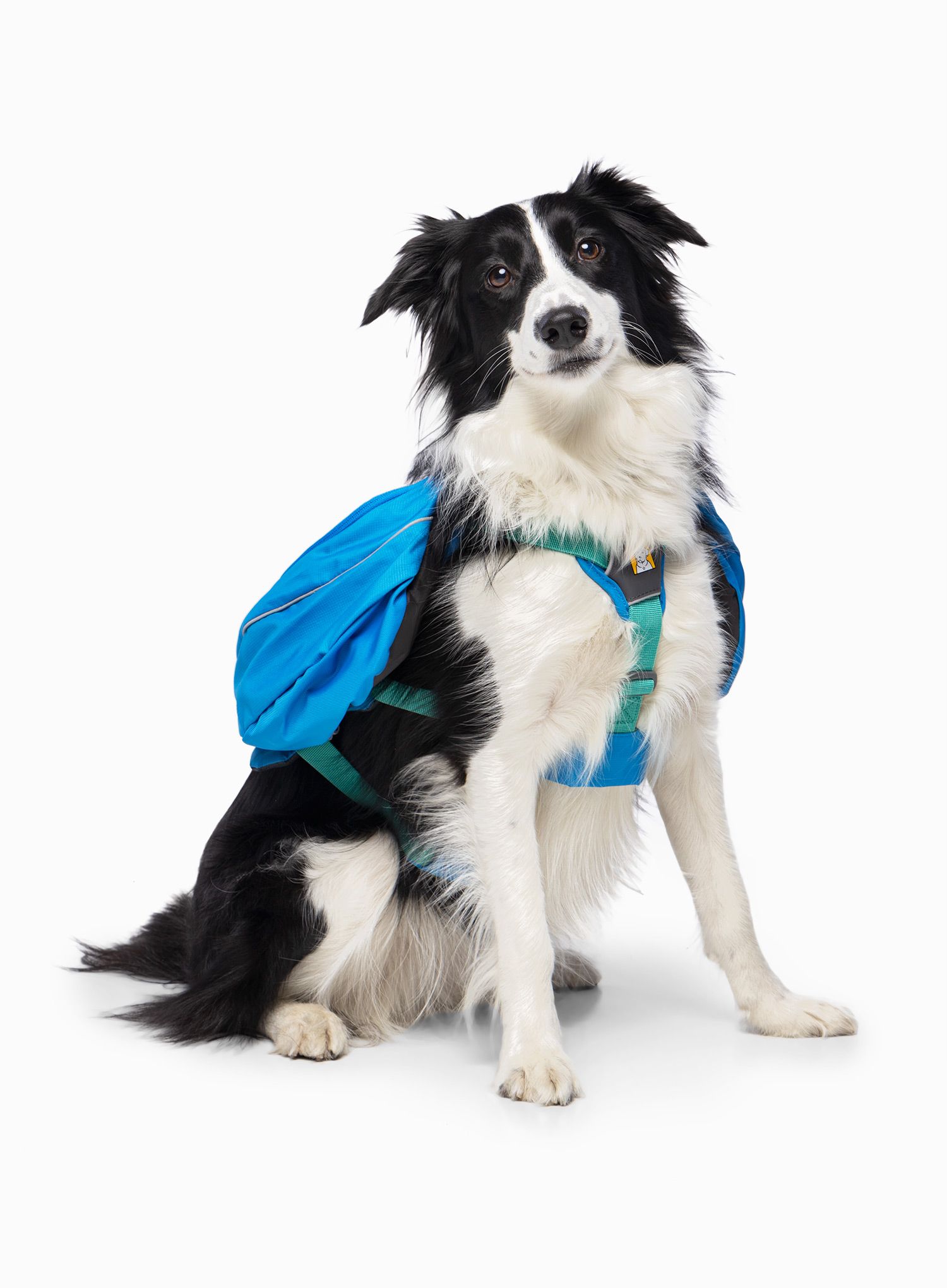 Ruksak za psa Ruffwear Approach Pack - blue dusk