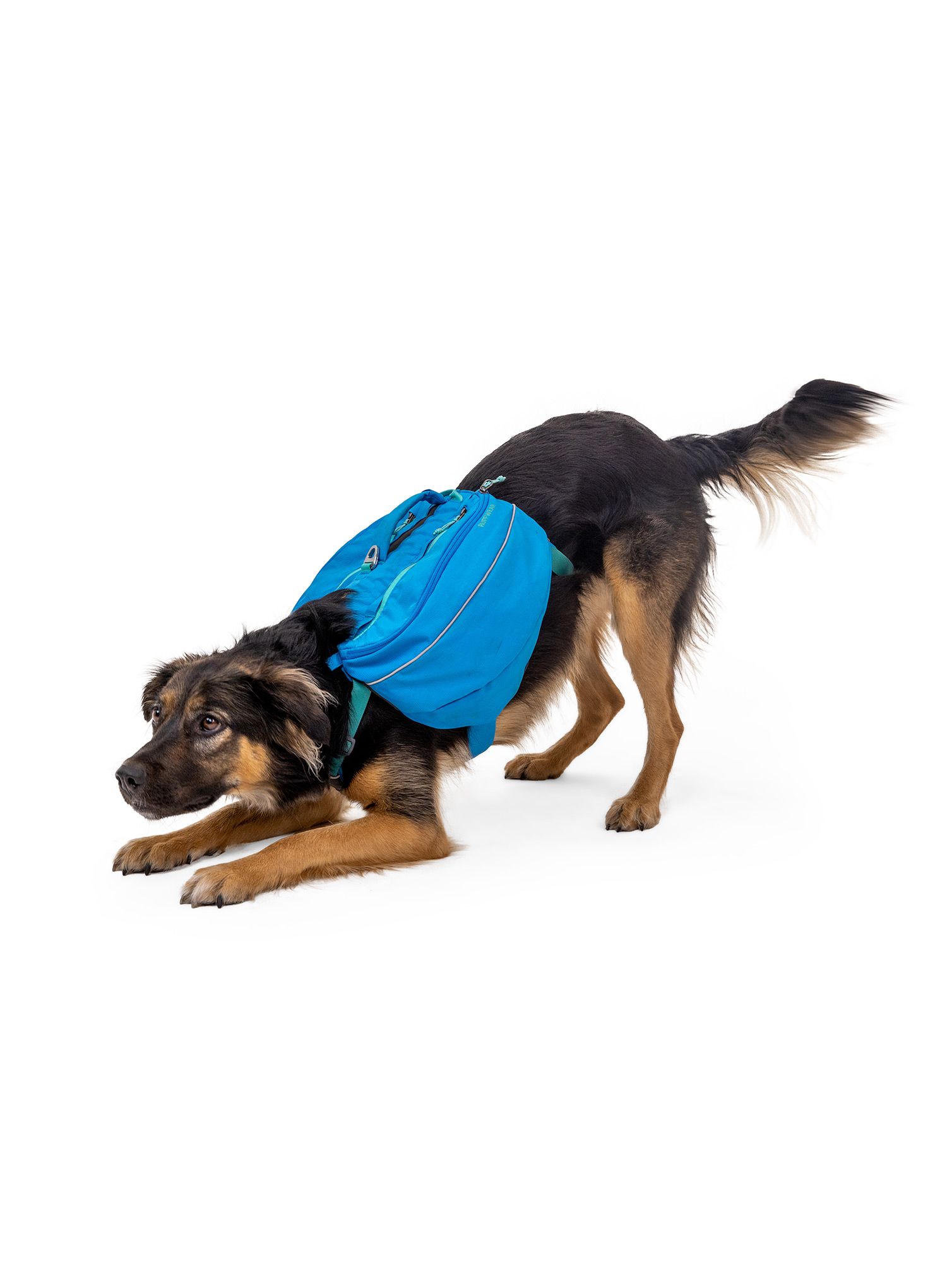 Ruksak za psa Ruffwear Approach Pack - blue dusk