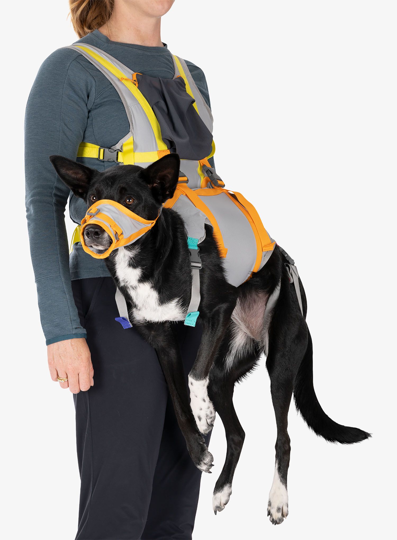 Set Ruffwear Backtrak Dog Evacuation Kit - cloudburst gray