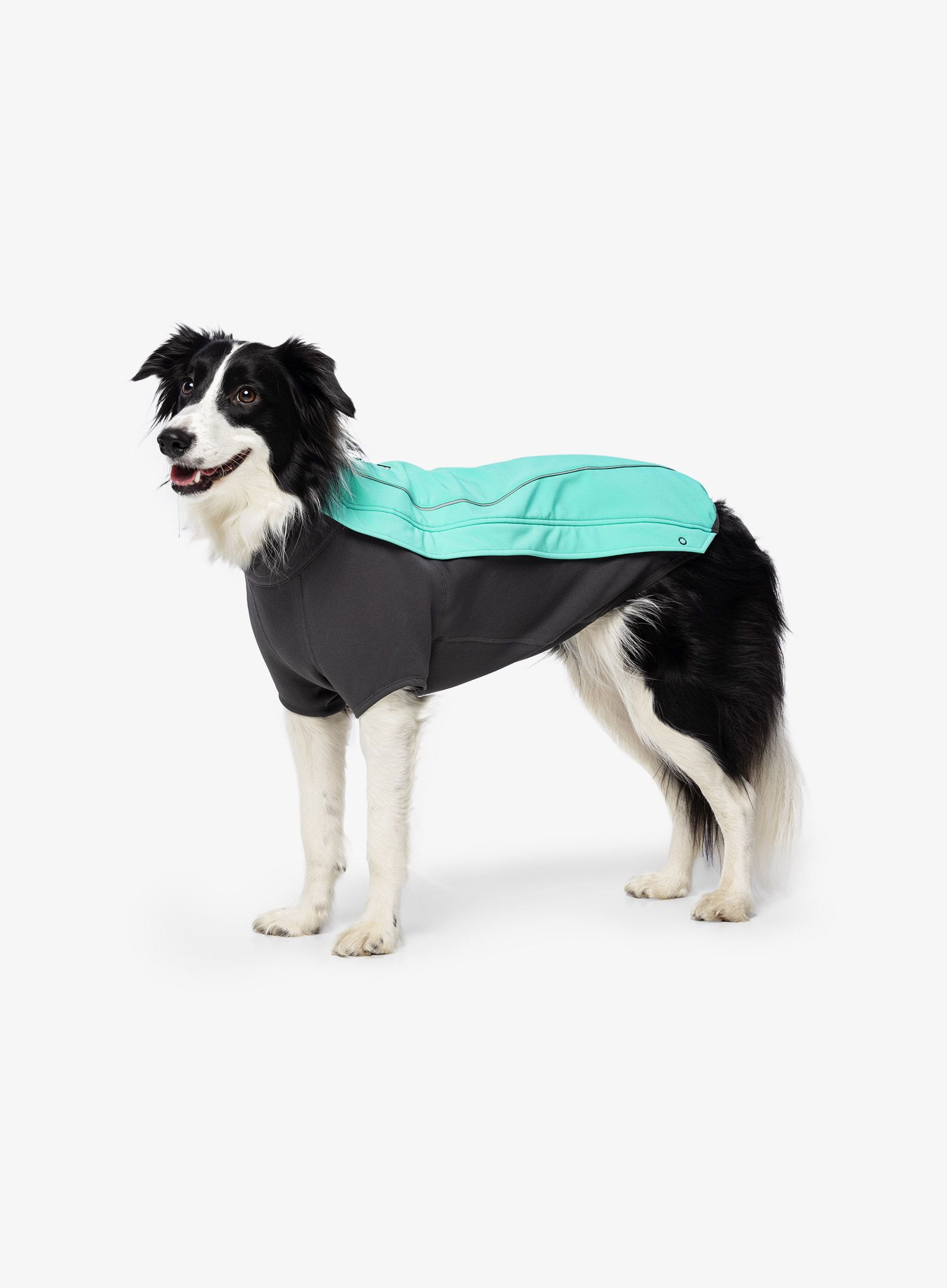 Jakna za psa Ruffwear Cloud Chaser Jacket - aurora teal
