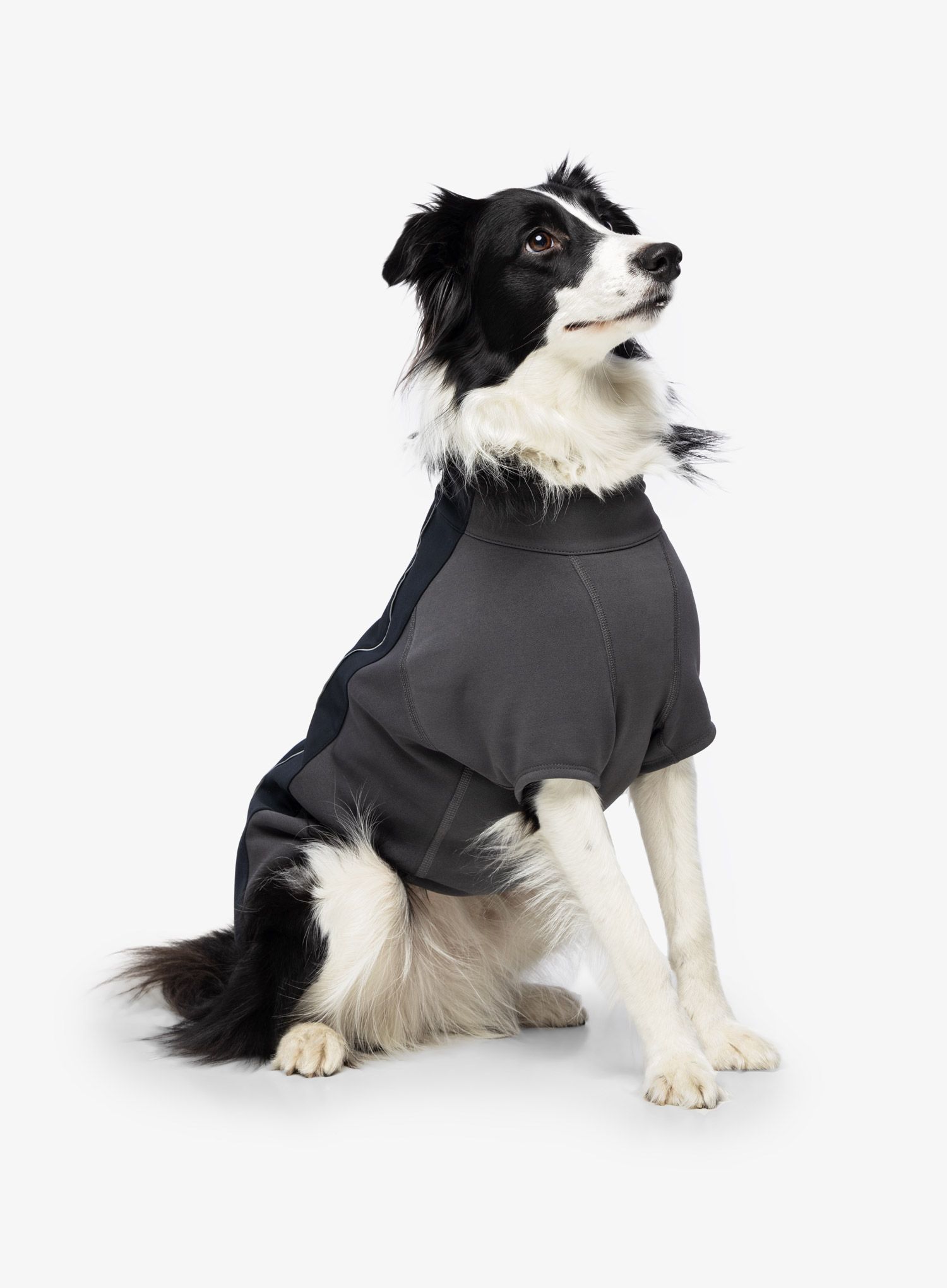Jakna s postavom Ruffwear Cloud Chaser Jacket - obsidian black