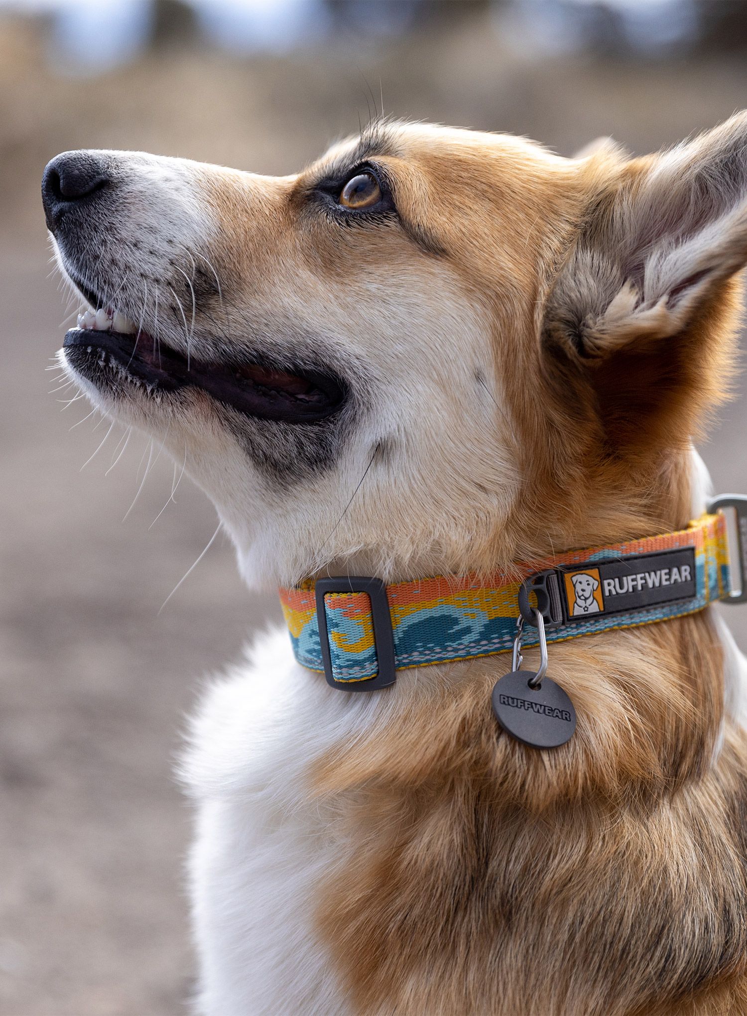Ogrlica za psa Ruffwear Crag Collar - rising wave