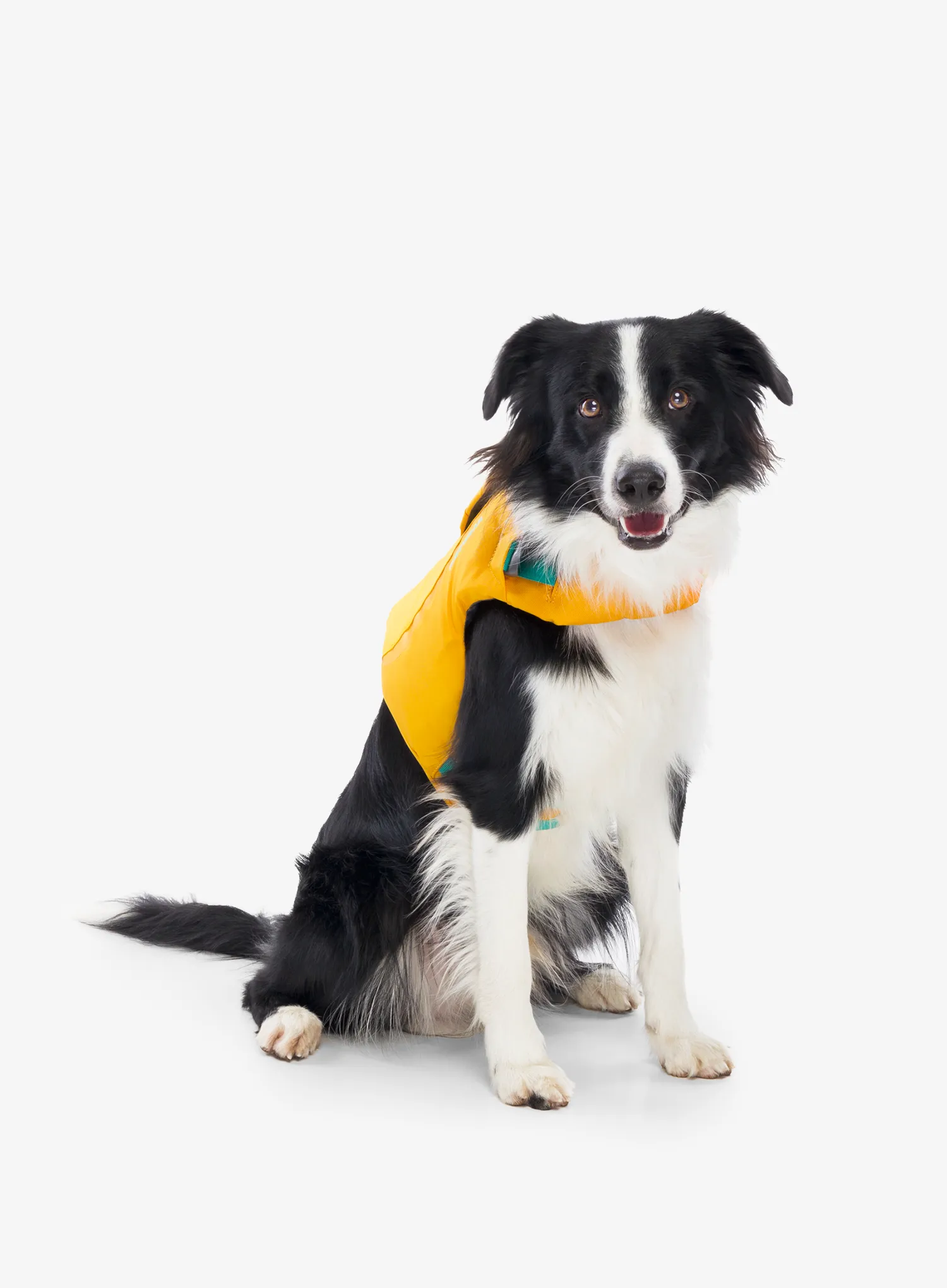 Prsluk za spašavanje za psa Ruffwear Float Coat - wave orange