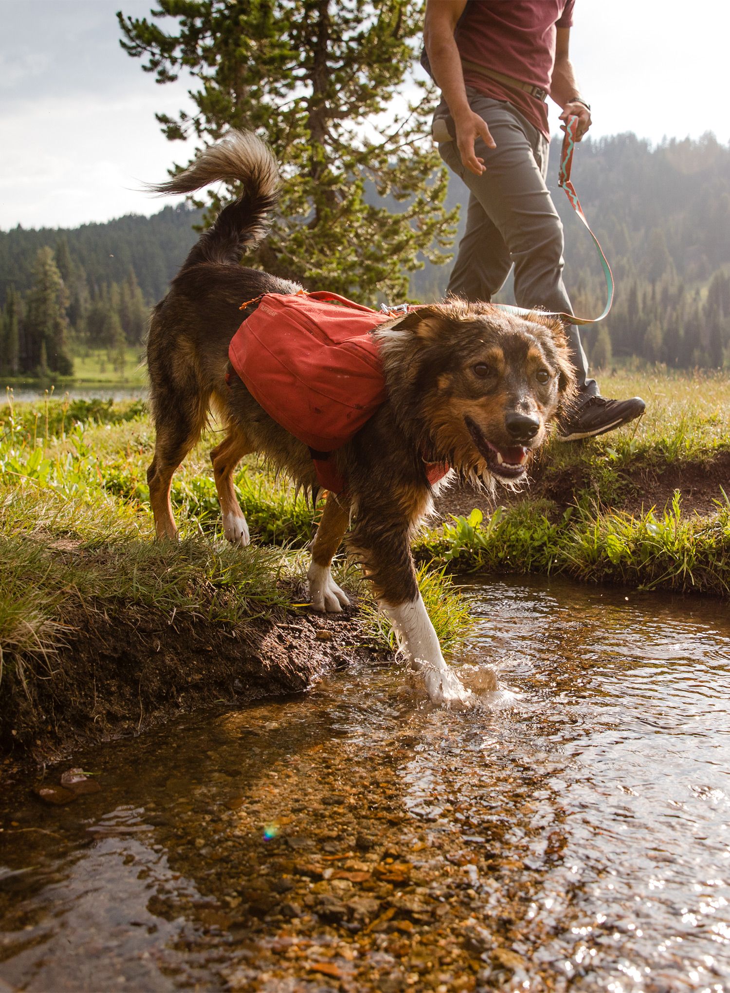 Ruksak za psa Ruffwear Front Range Day Pack - red clay
