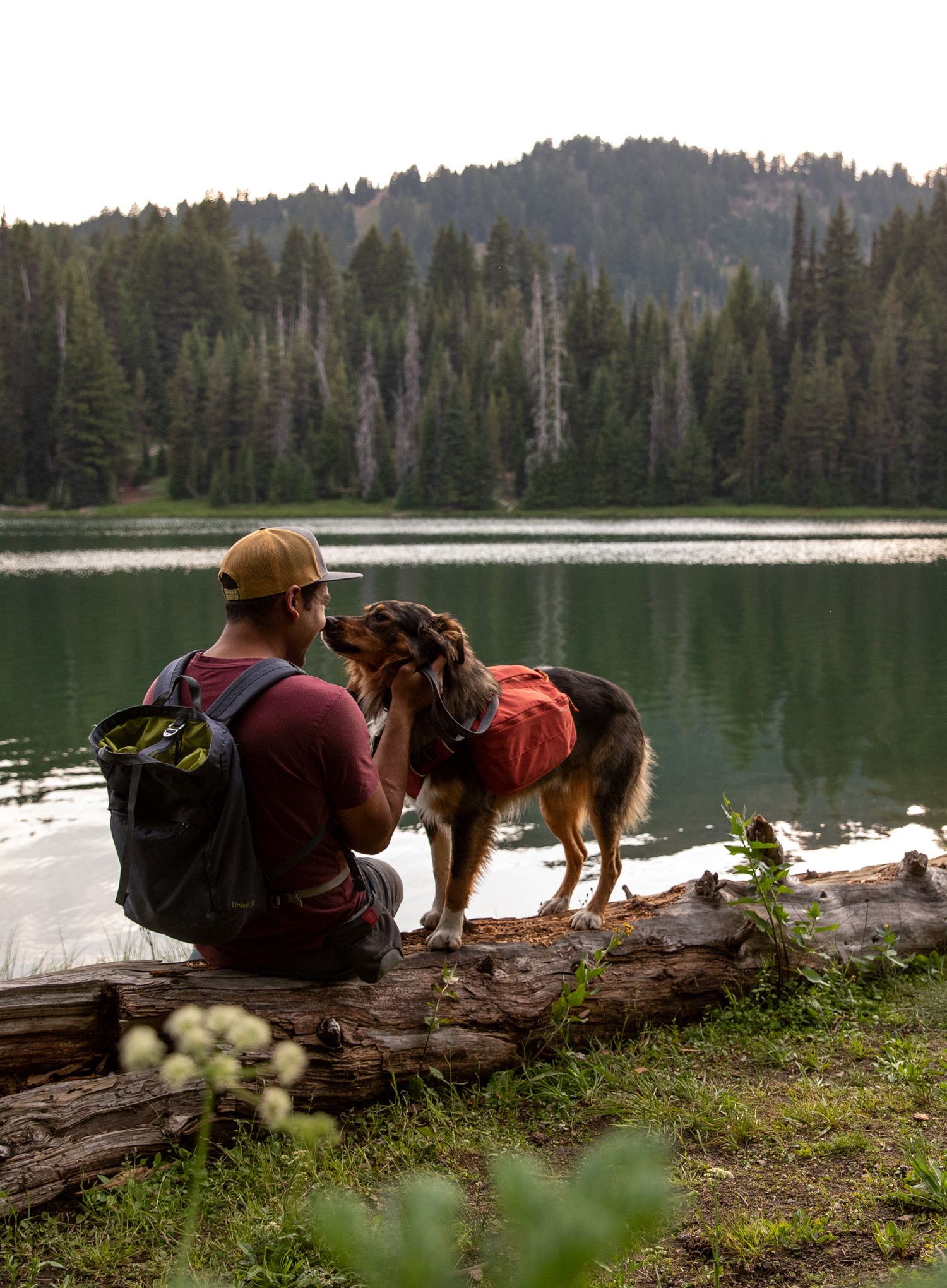 Ruksak za psa Ruffwear Front Range Day Pack - red clay