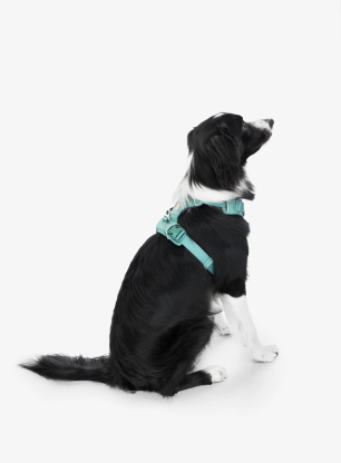 Uprtači za psa Ruffwear Front Range Harness S - river rock green