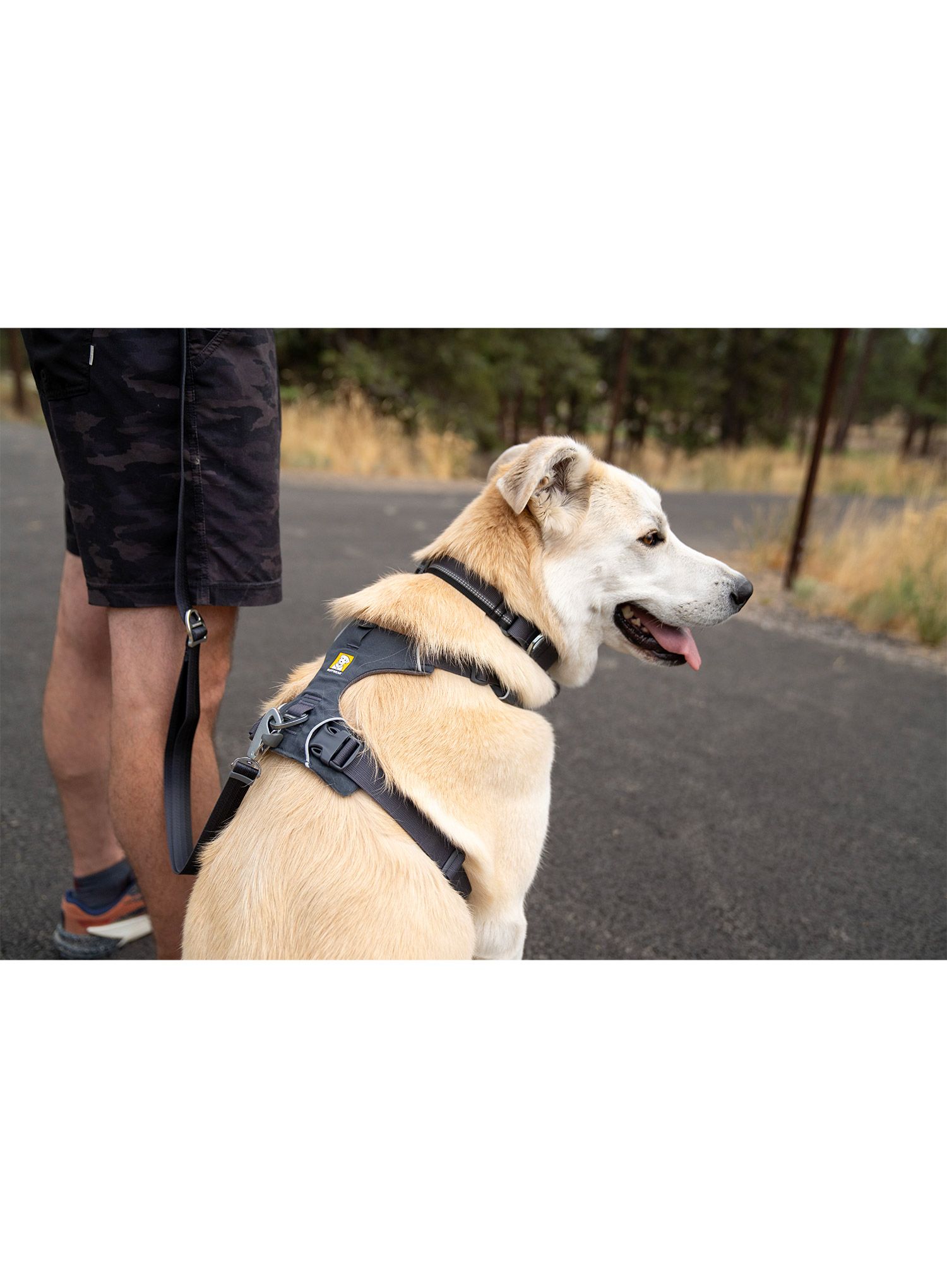 Uprtači za psa Ruffwear Front Range Harness XXS - basalt gray