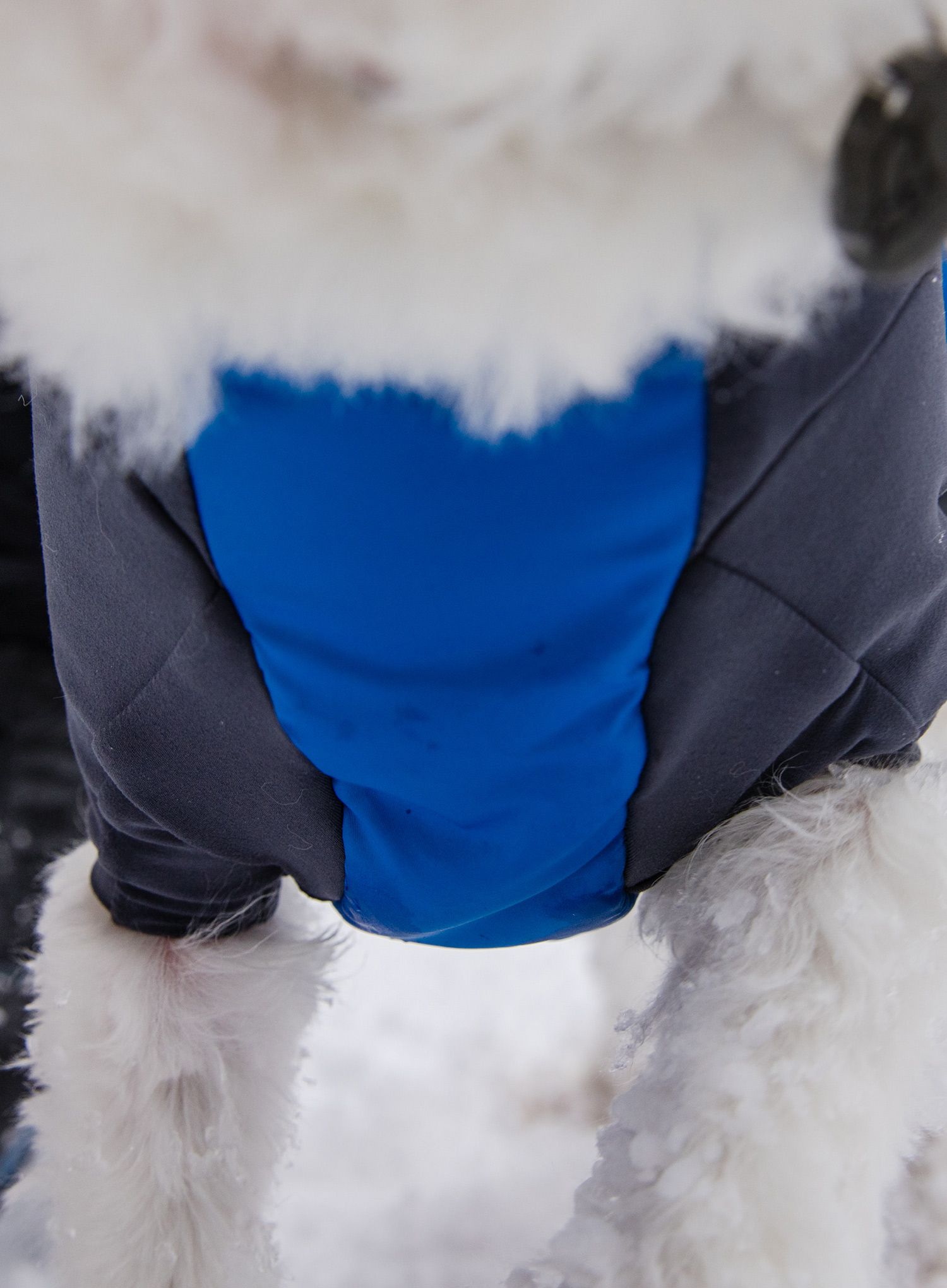 Jakna za psa Ruffwear Powder Hound Jacket - pool blue