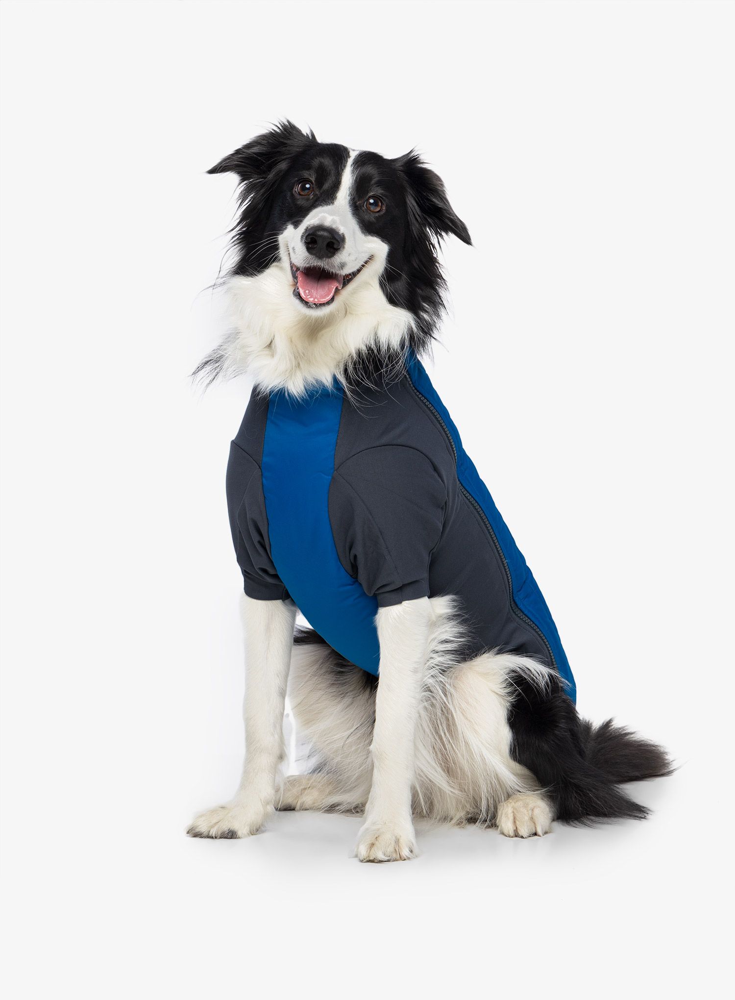 Jakna za psa Ruffwear Powder Hound Jacket - pool blue