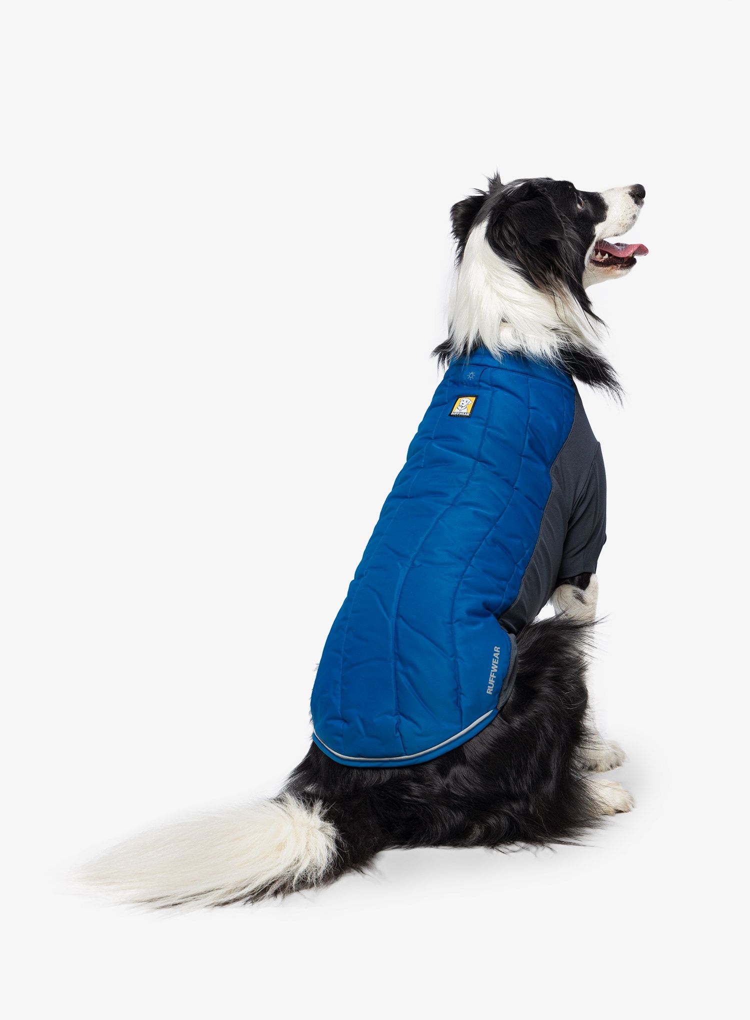 Jakna za psa Ruffwear Powder Hound Jacket - pool blue
