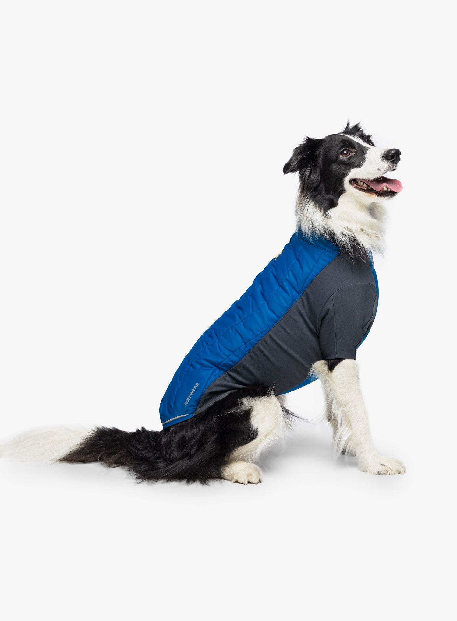Jakna za psa Ruffwear Powder Hound Jacket - pool blue