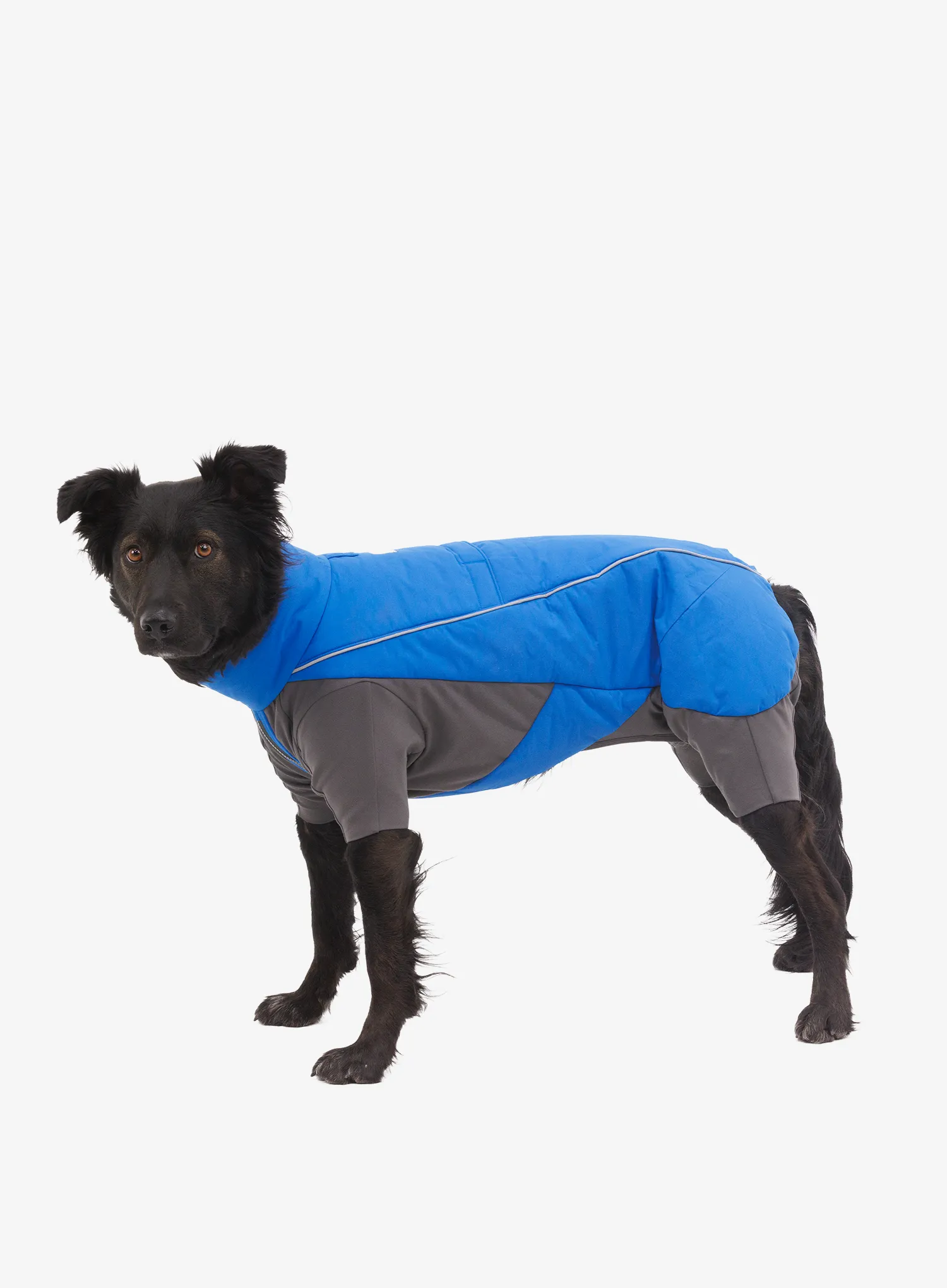 Odijelo za pse Ruffwear Vert Coverall - blue pool