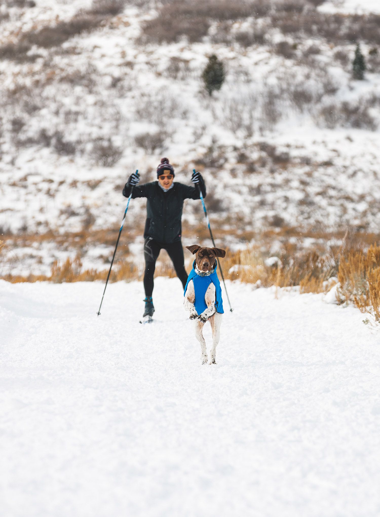 Jakna za psa Ruffwear Vert Dog Jacket - blue pool