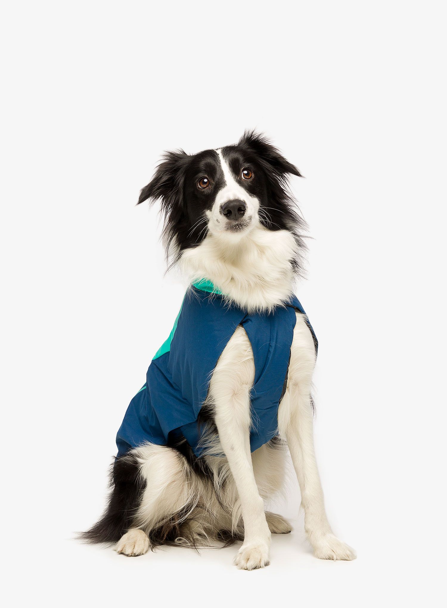 Jakna za psa Ruffwear Vert Jacket - aurora teal