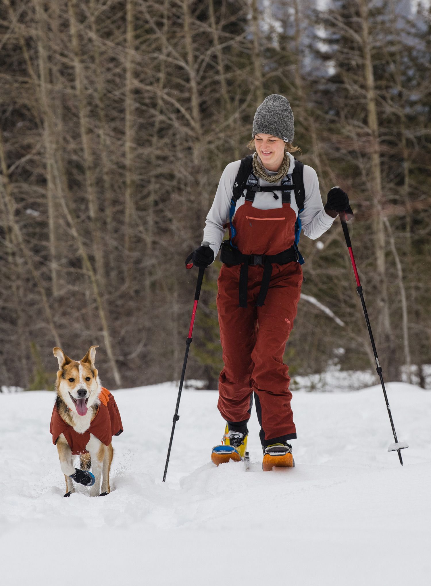 Jakna za psa Ruffwear Vert Jacket - canyonlands orange