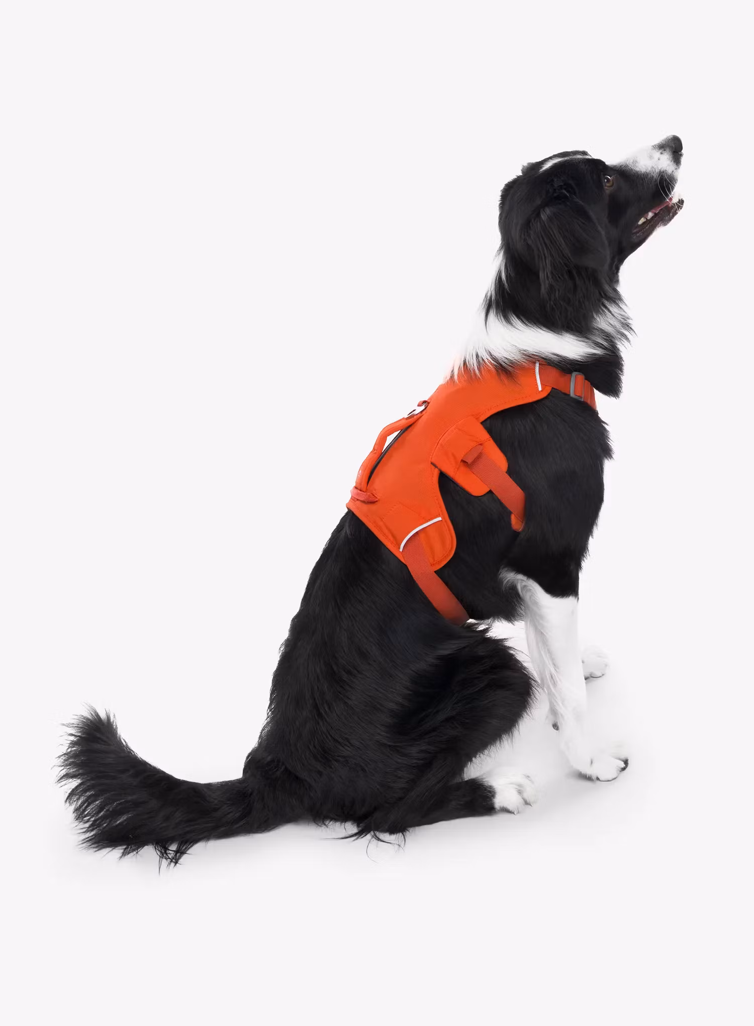 Uprtači za psa Ruffwear Web Master Harness - red sumac