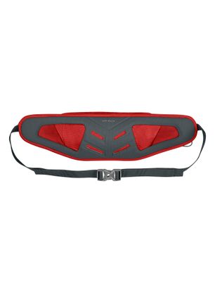 Torbica oko struka Salewa Lite Train Hipbelt - flame