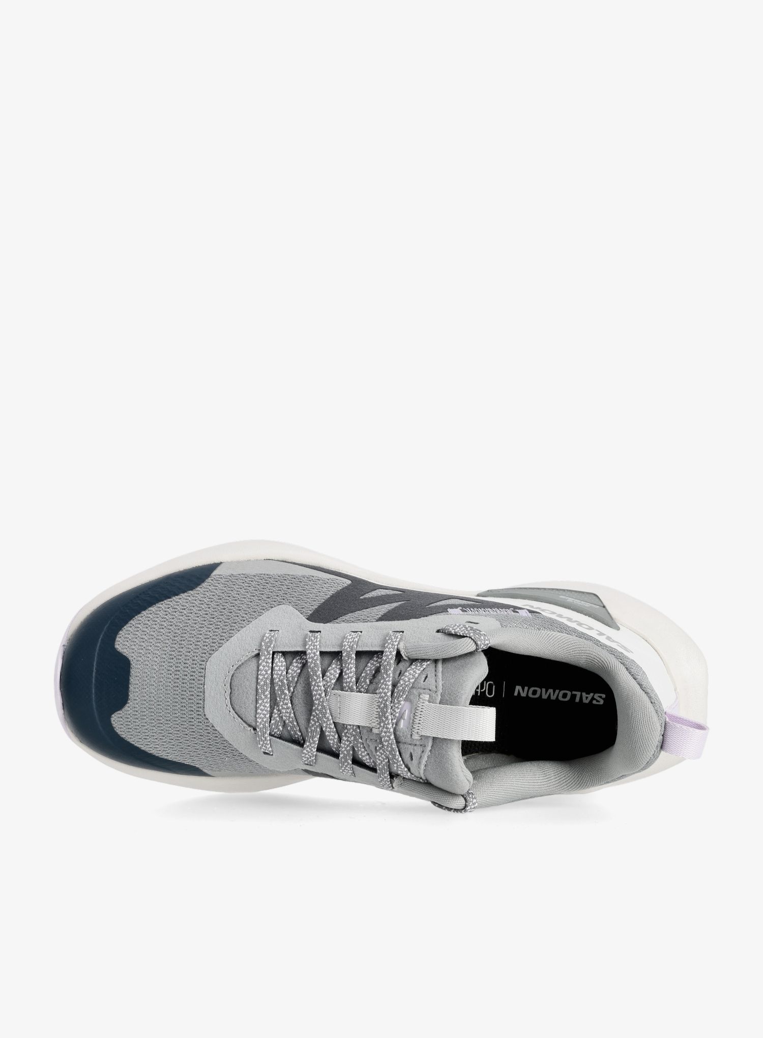 Ženske planinarske cipele Salomon Elixir Activ - sharkskin/glacier