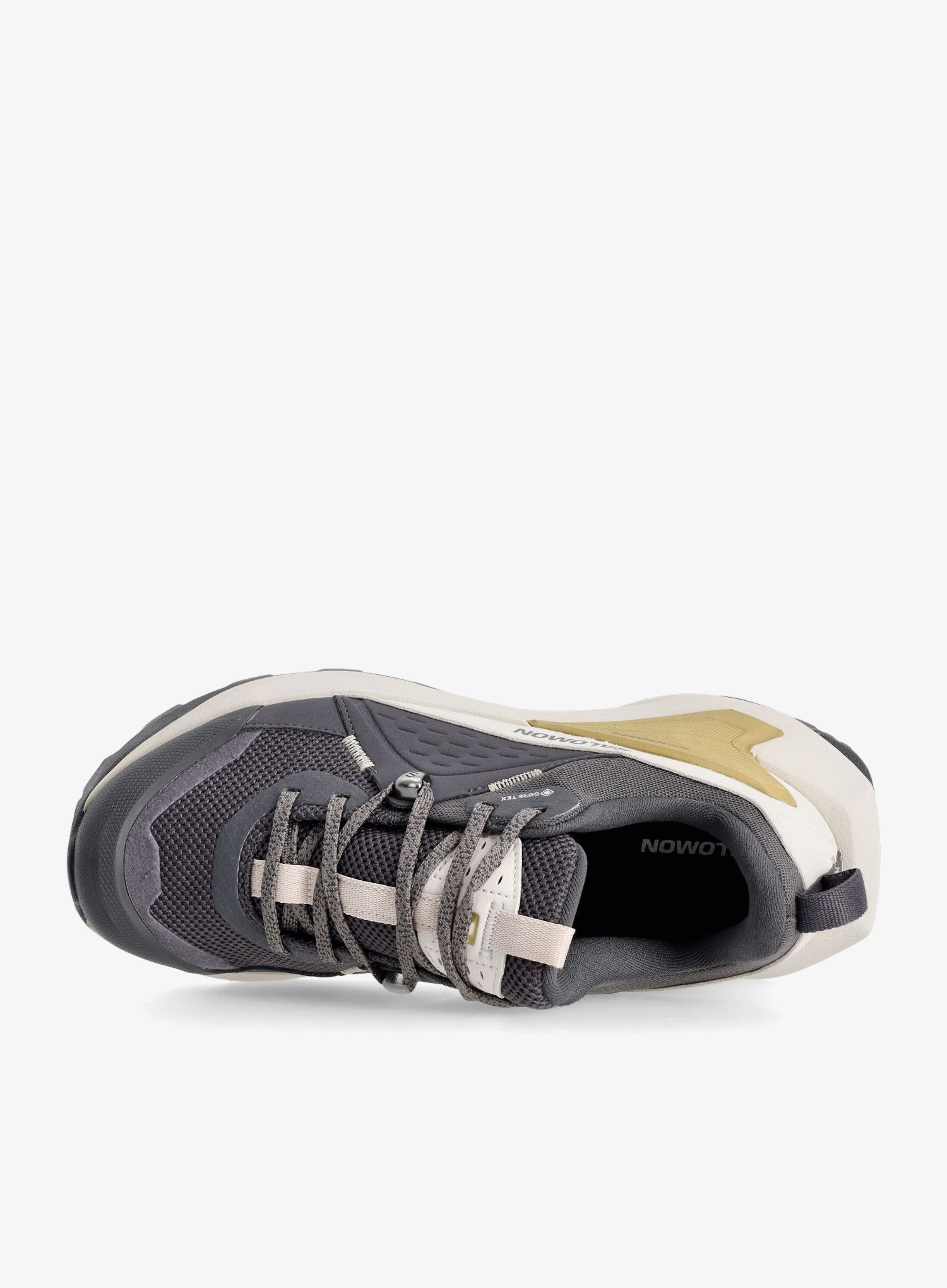 Ženske planinarske cipele Salomon Elixir GTX - iron/silver/sponge