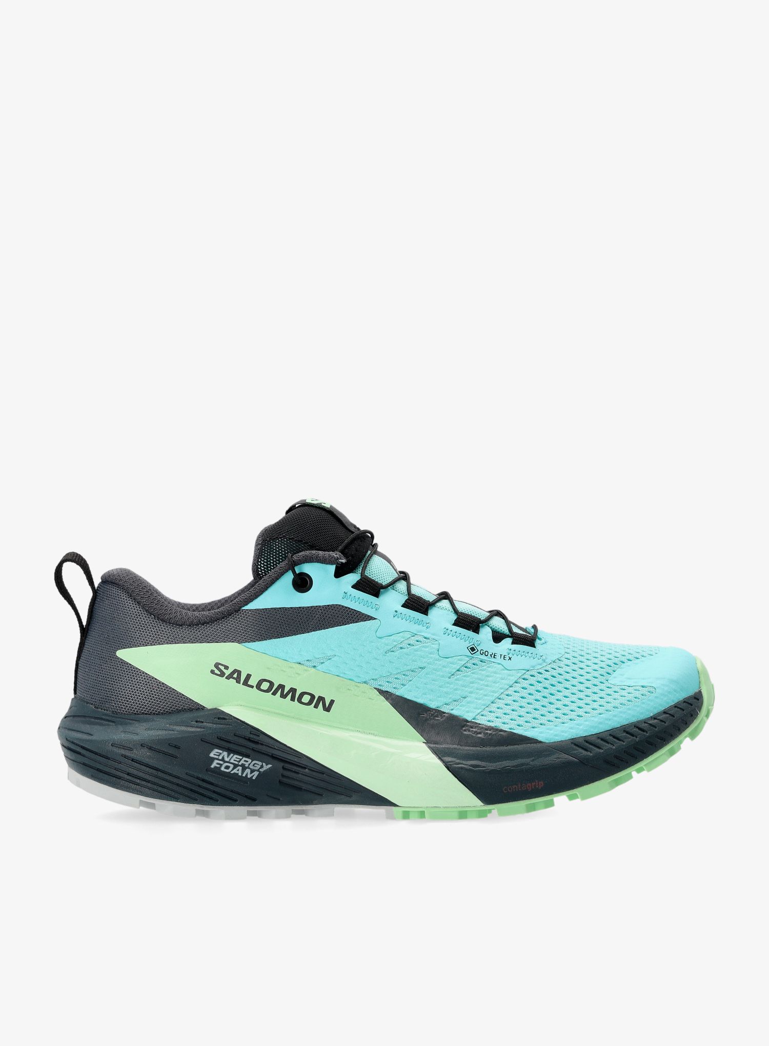 Ženske trail tenisice Salomon Sense Ride 5 GTX - blra/green ash/i