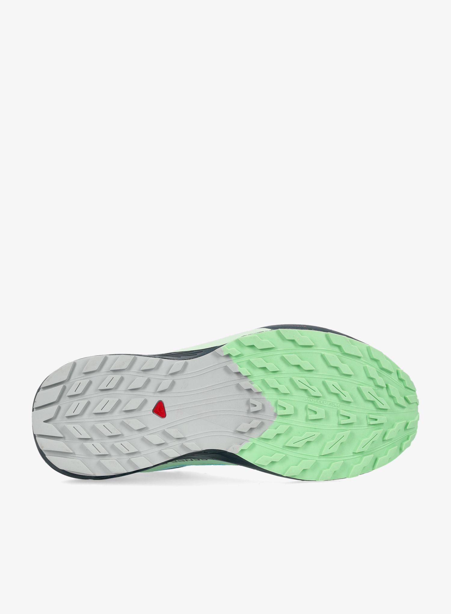 Ženske trail tenisice Salomon Sense Ride 5 GTX - blra/green ash/i