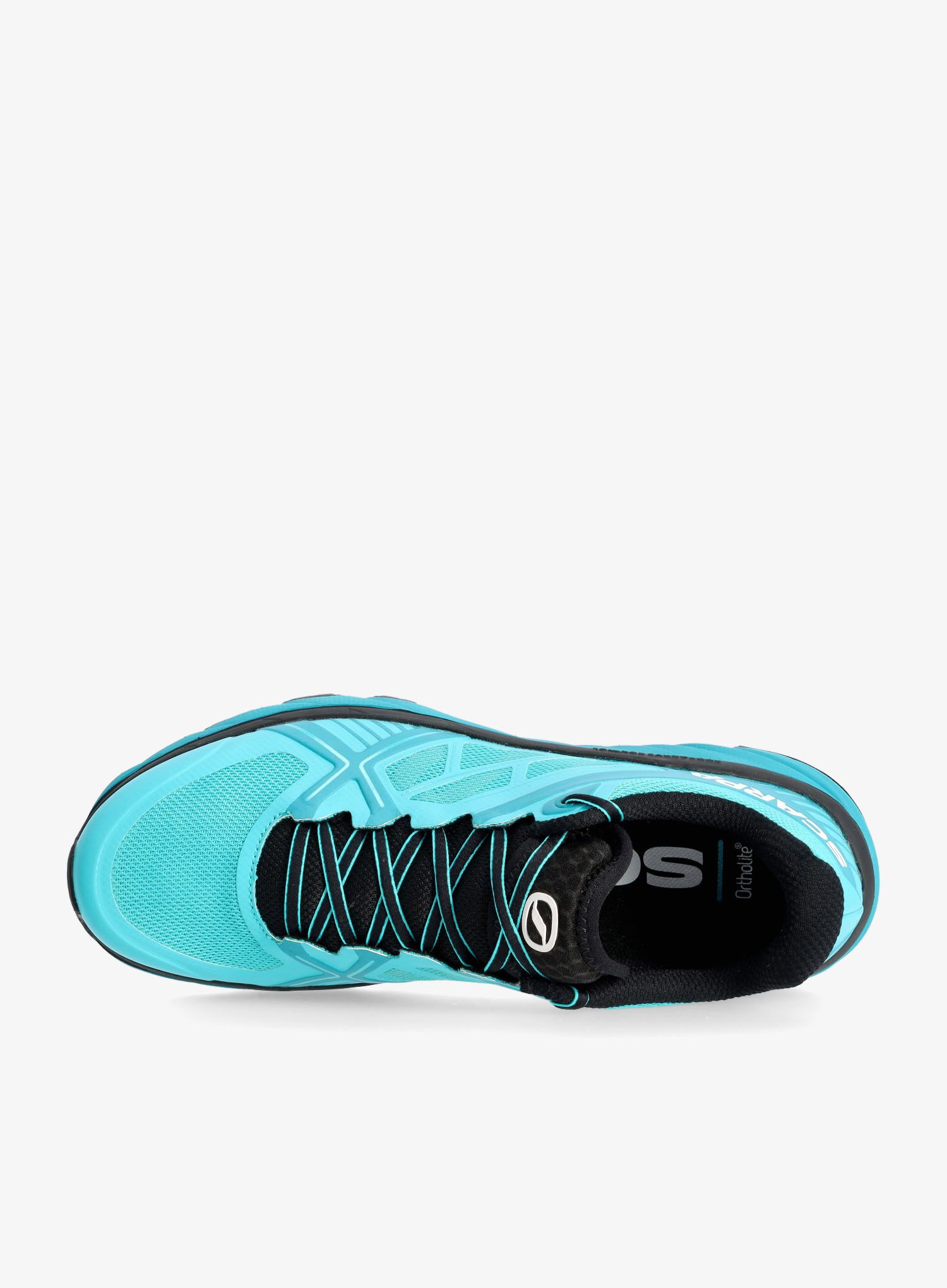 Muške tenisice za trčanje Scarpa Spin Infinity - azure