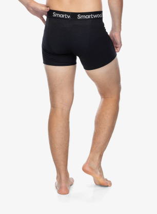 Termoaktivne bokserice Smartwool Active Boxer Brief Boxed - black