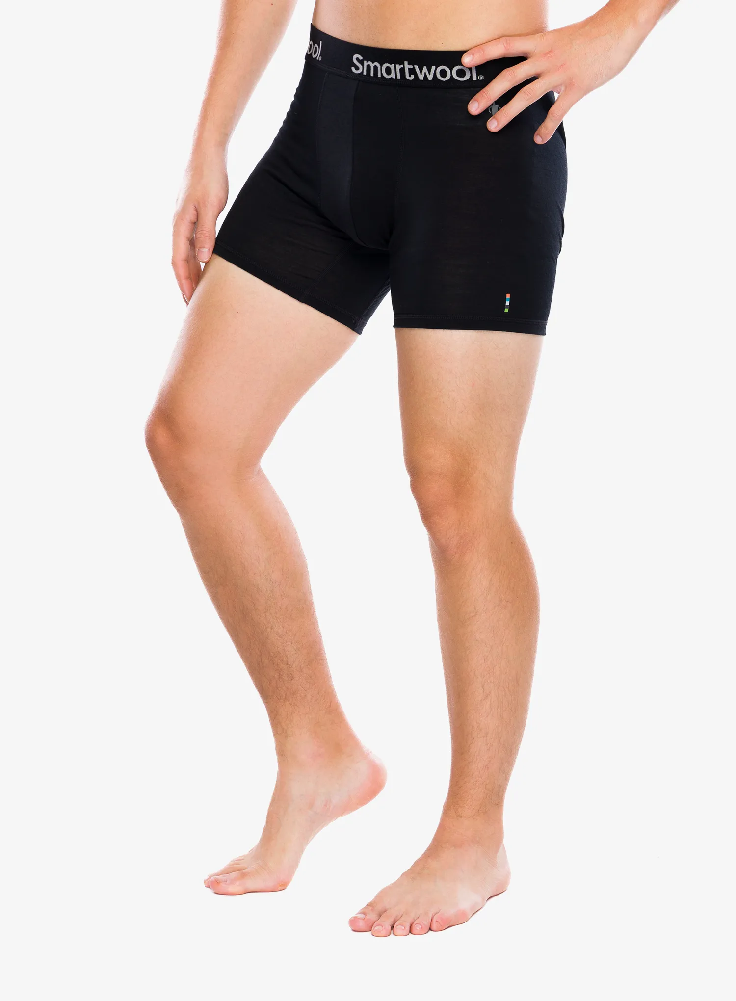 Termoaktivne bokserice Smartwool Everyday Merino Boxer Brief Boxed - black